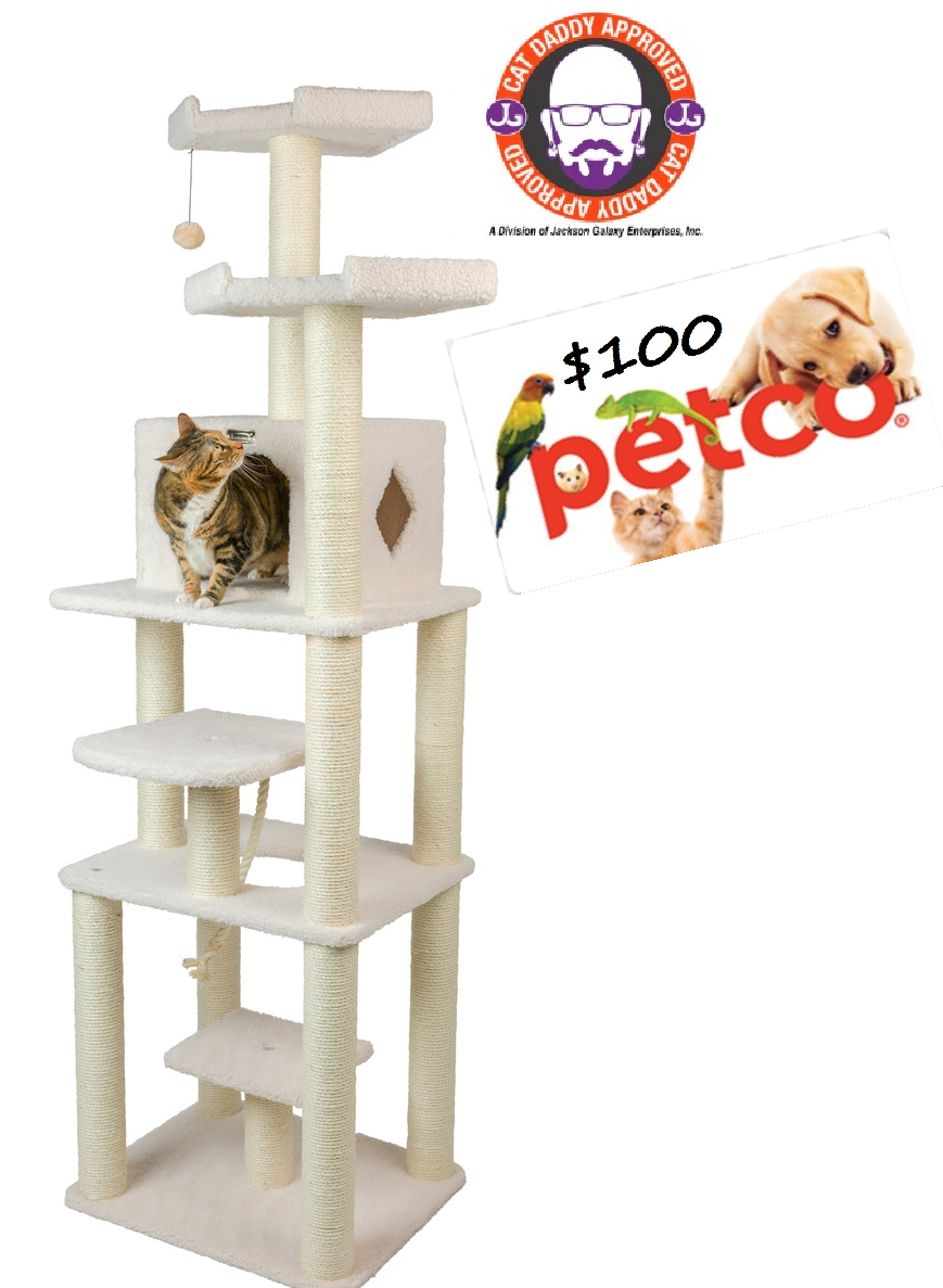Armarkat B7801 78 Cat Tree plus 100 petco.png