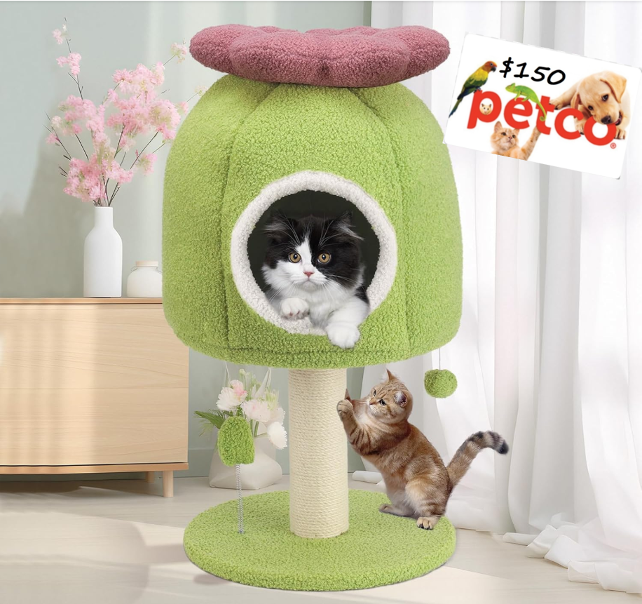 EMUST EM10102 Green Cat Tree 150 Petco.png