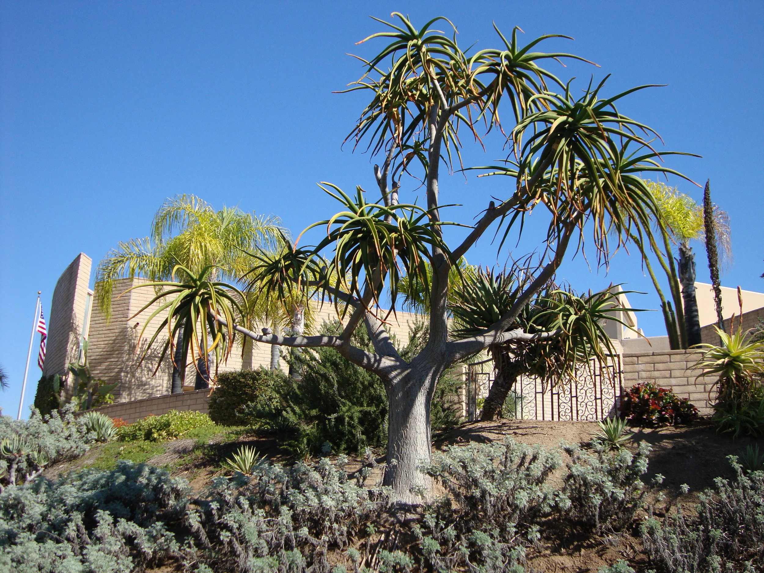 Building from below.JPG