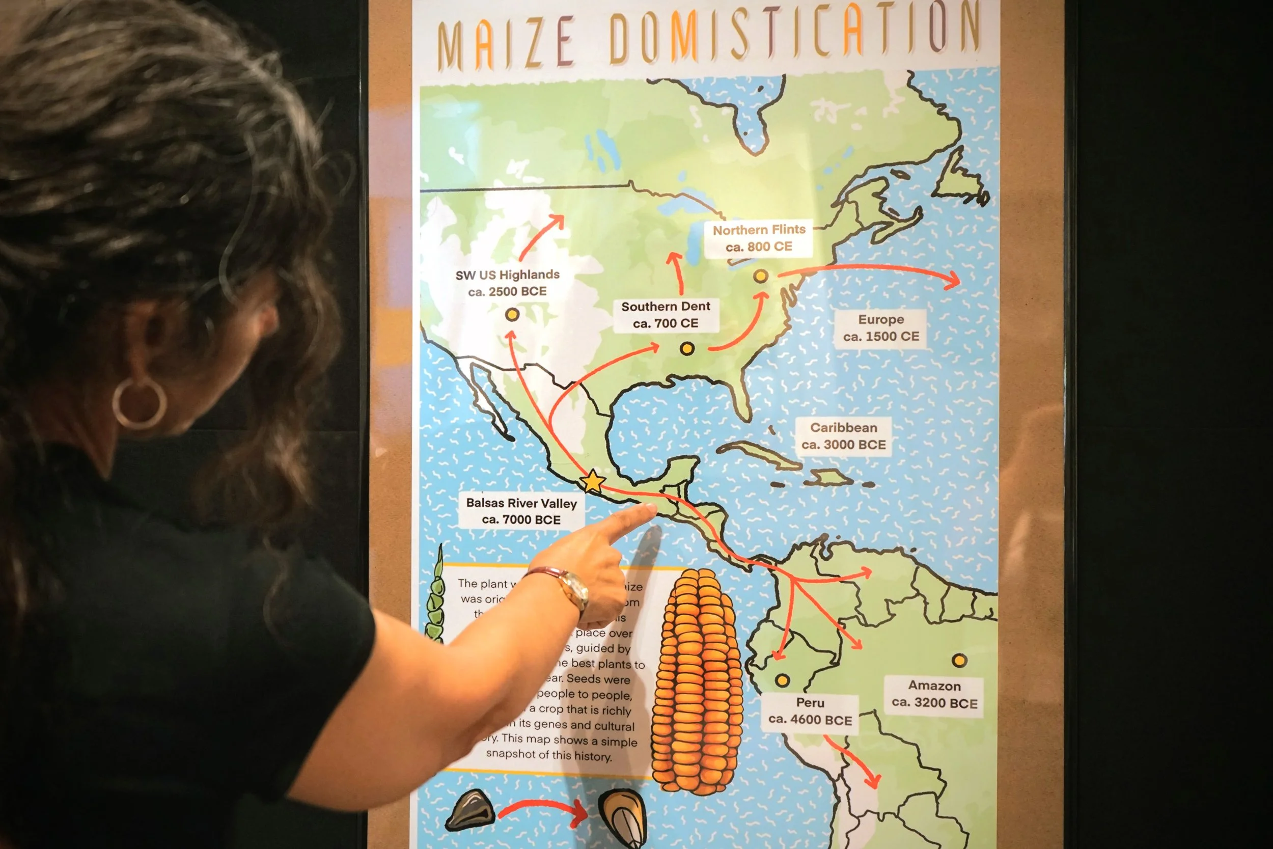 Maize Exhibition6.jpg