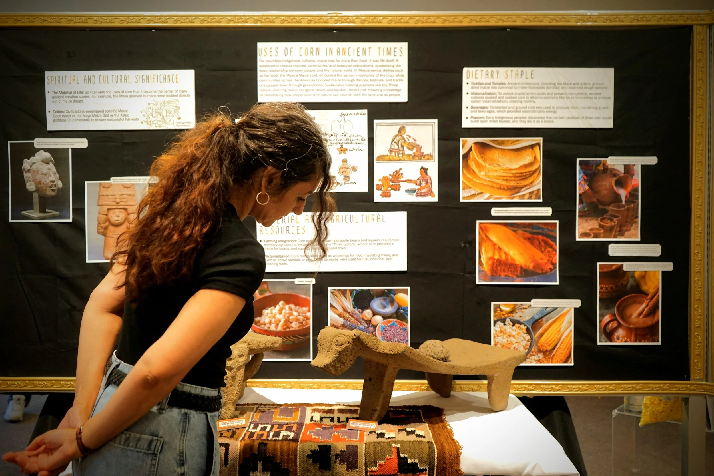 Maize Exhibition5.jpg