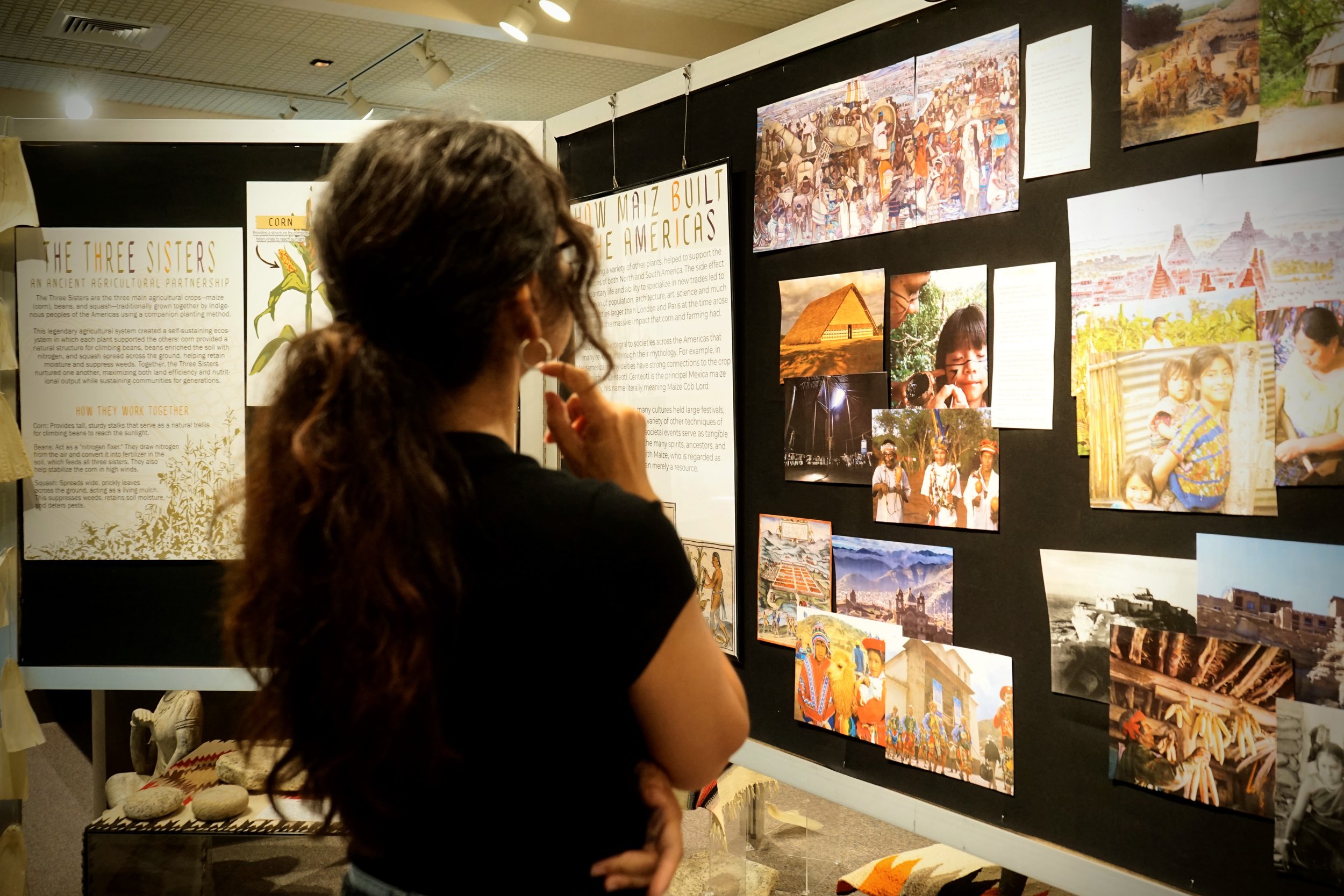 Maize Exhibition4.jpg