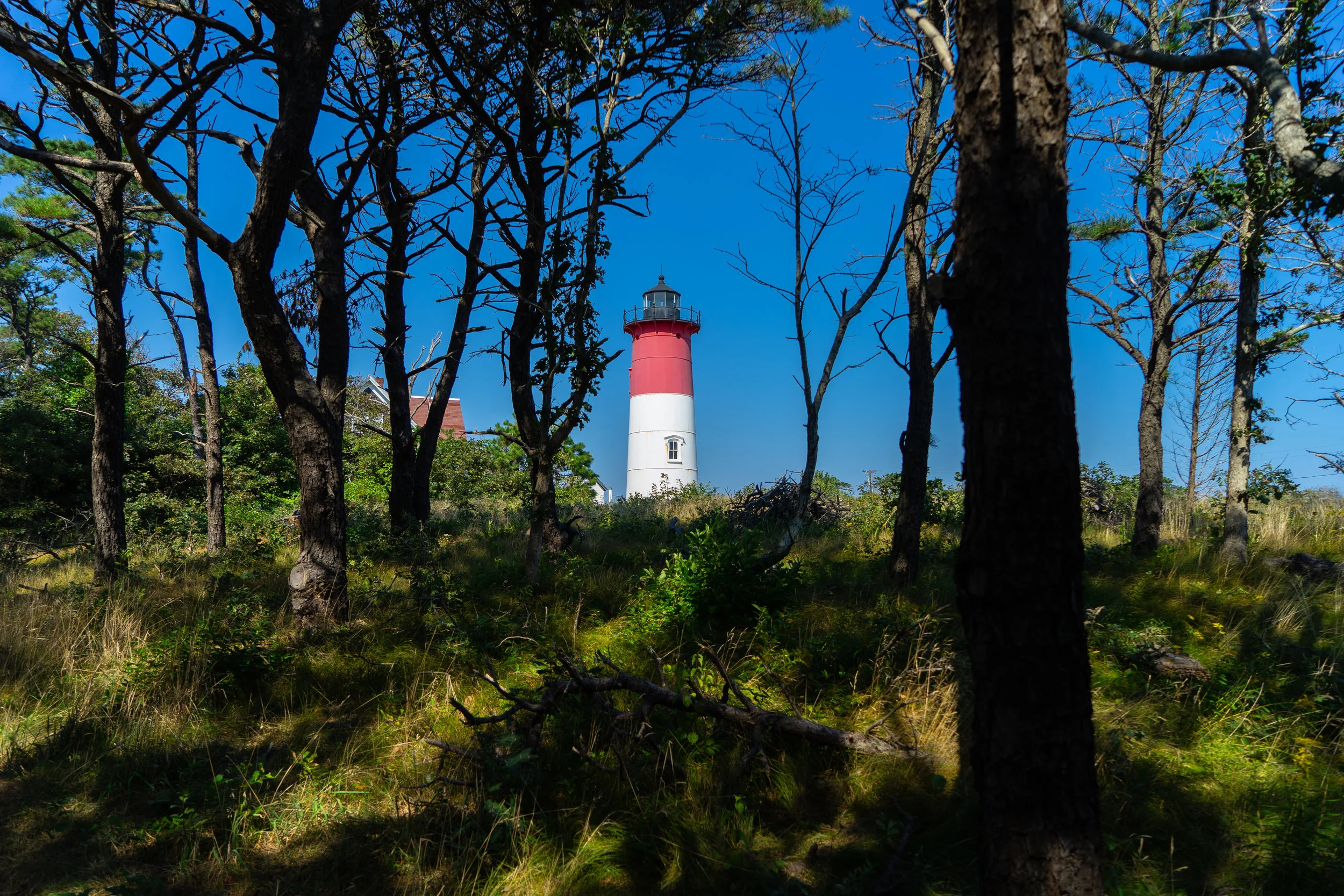 Nauset Lighthouse