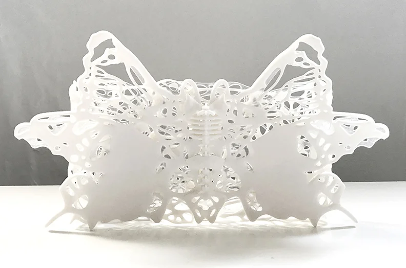 Front View, Back Lit