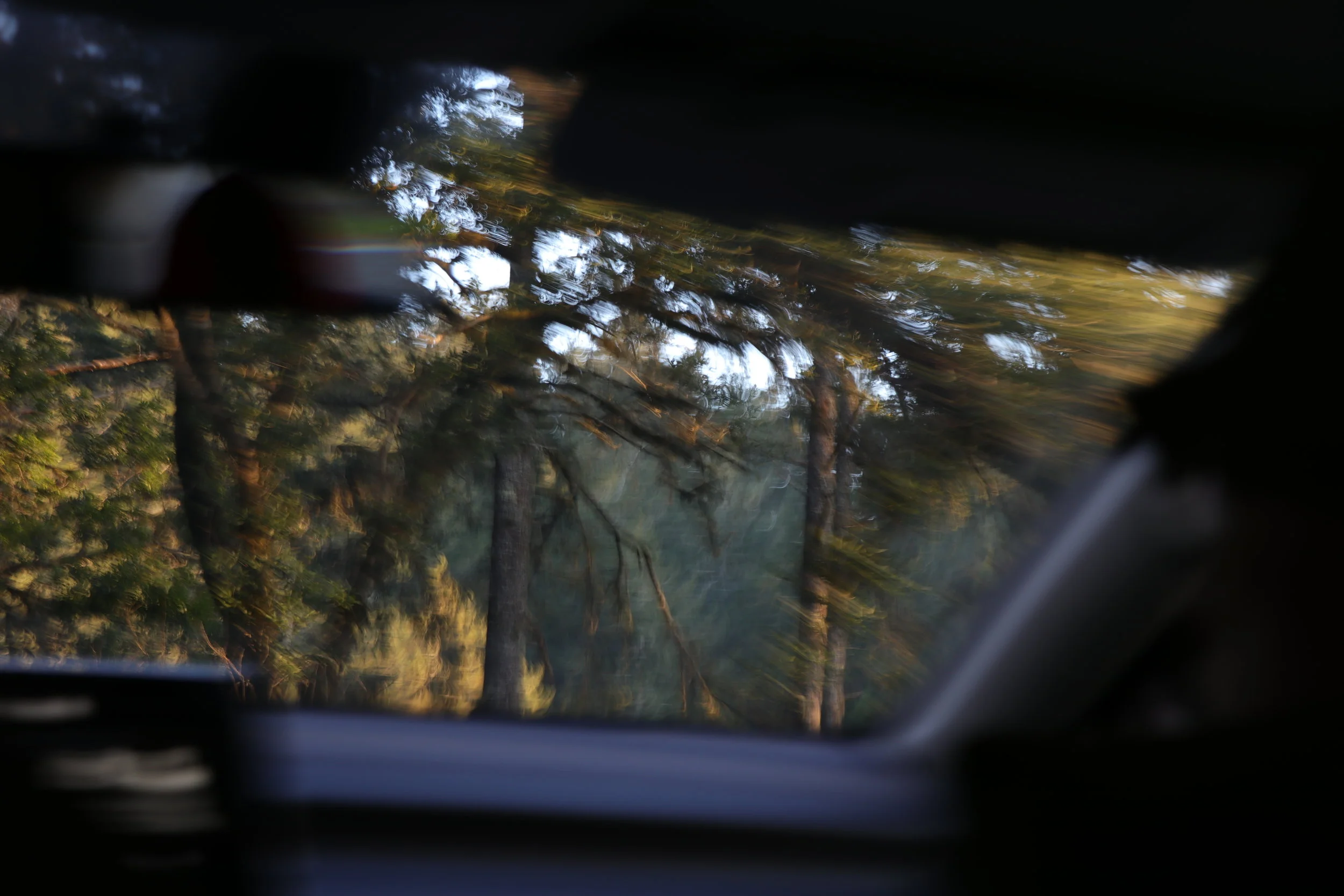 © 2019 Oscar Martin