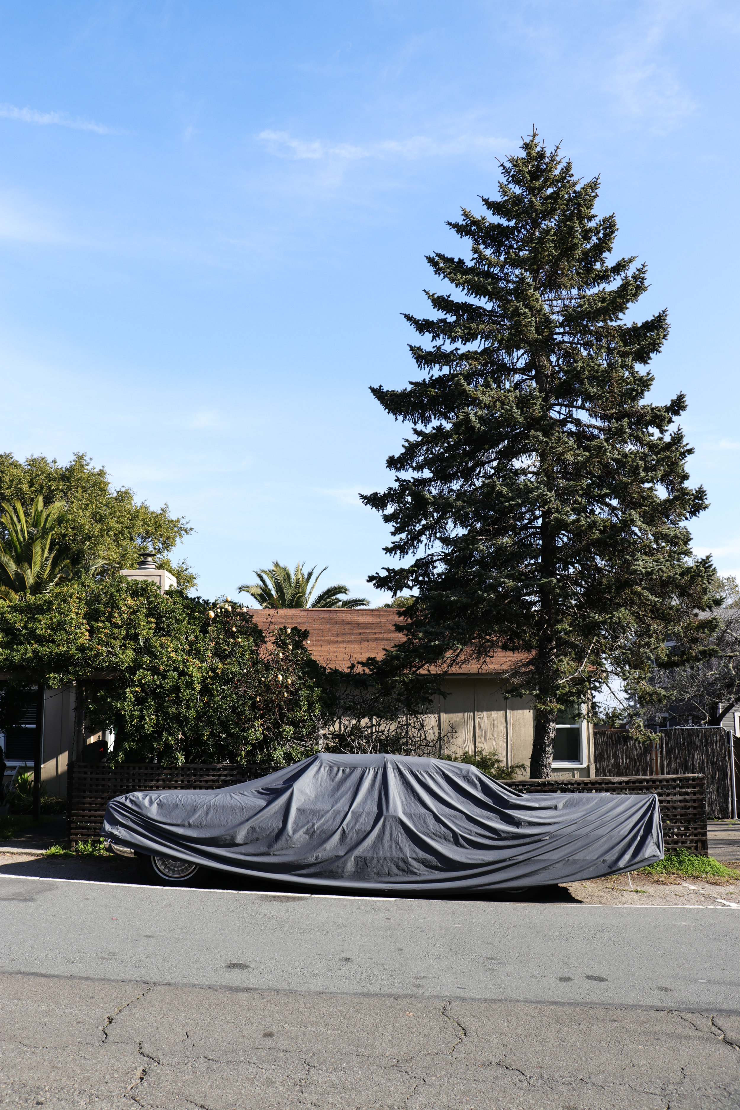 © 2019 Oscar Martin