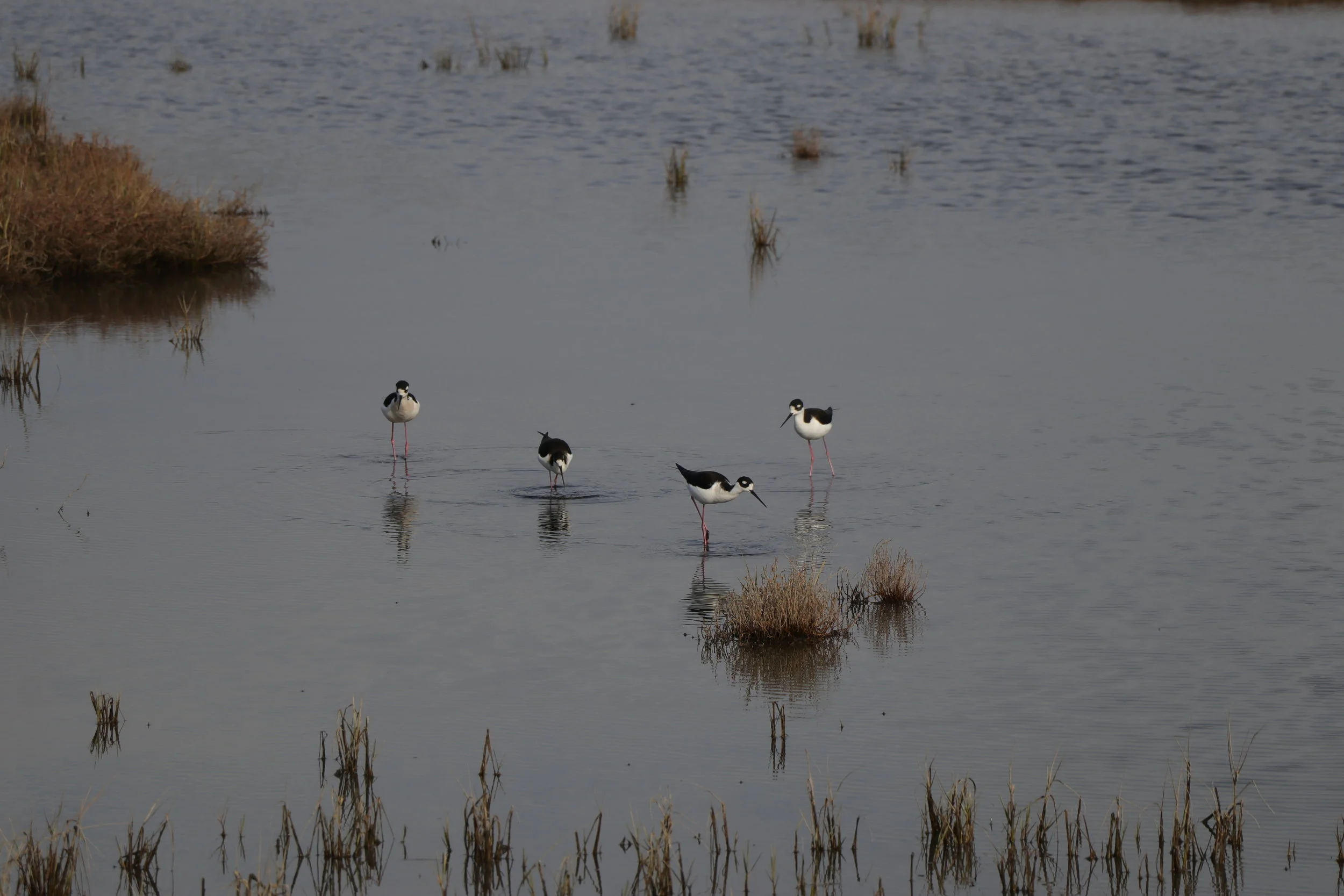 © 2019 Oscar Martin