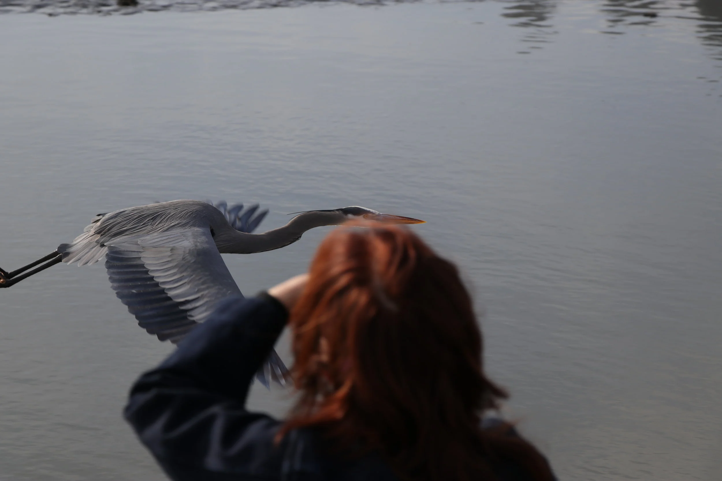 © 2019 Oscar Martin