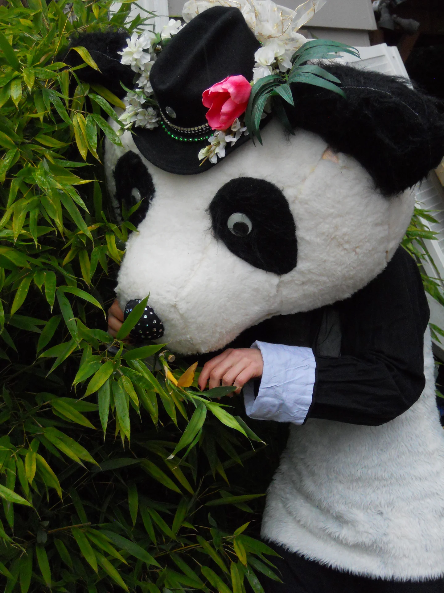 Please Don't Feed the Artists