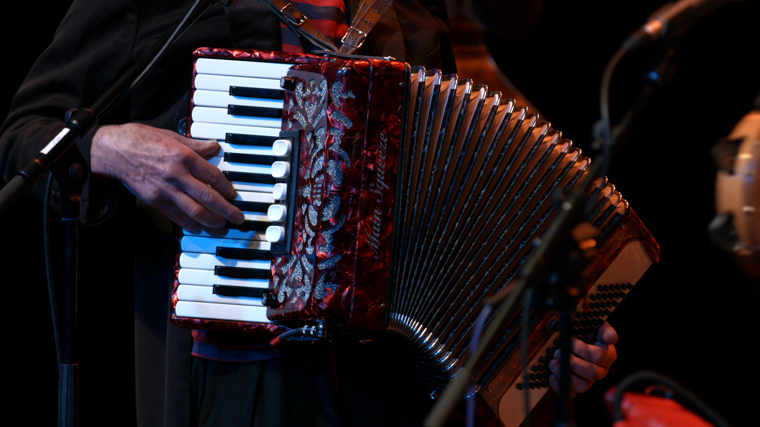 Videos The Jews Brothers Band videos the jews brothers band