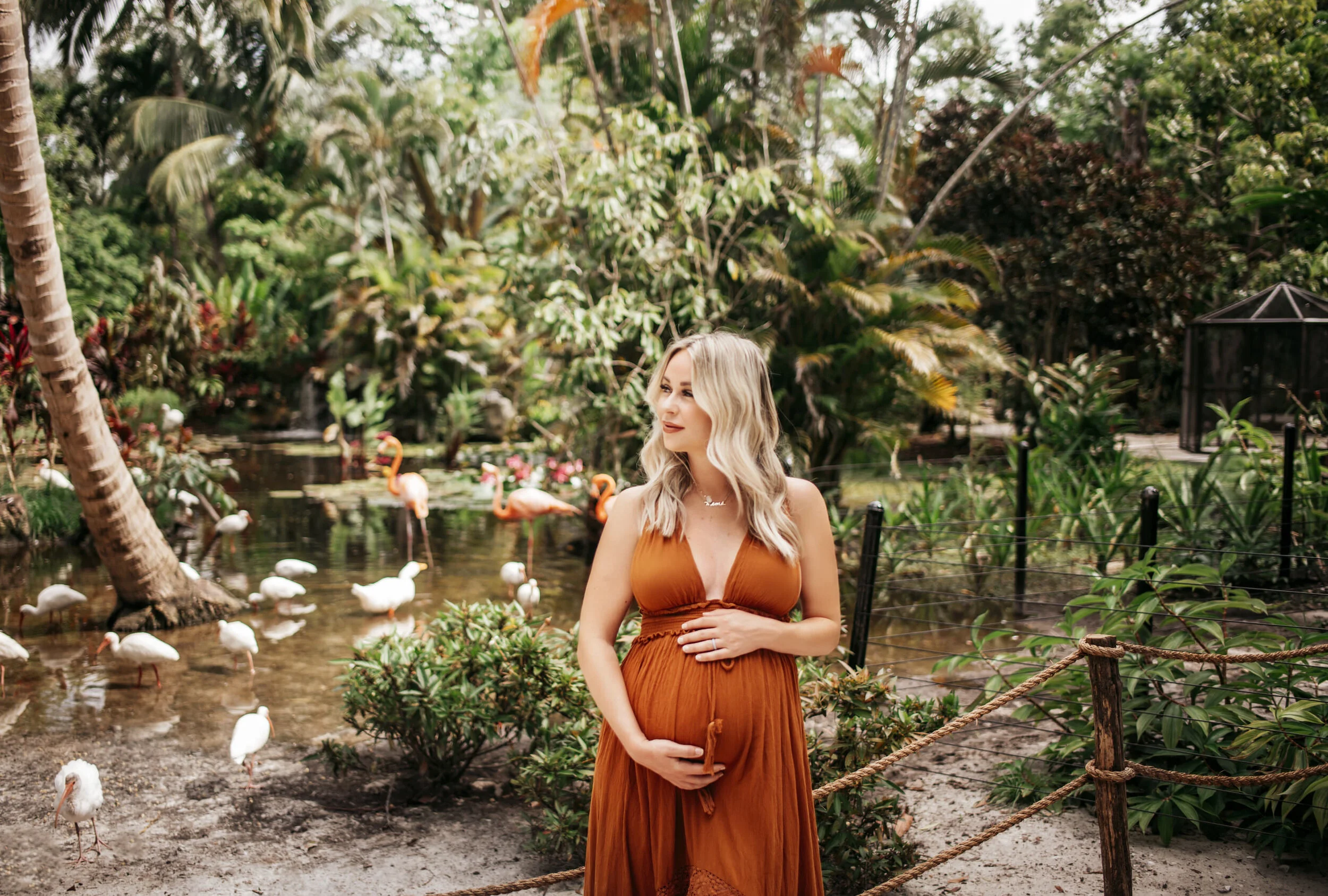 Tropical Garden Maternity 