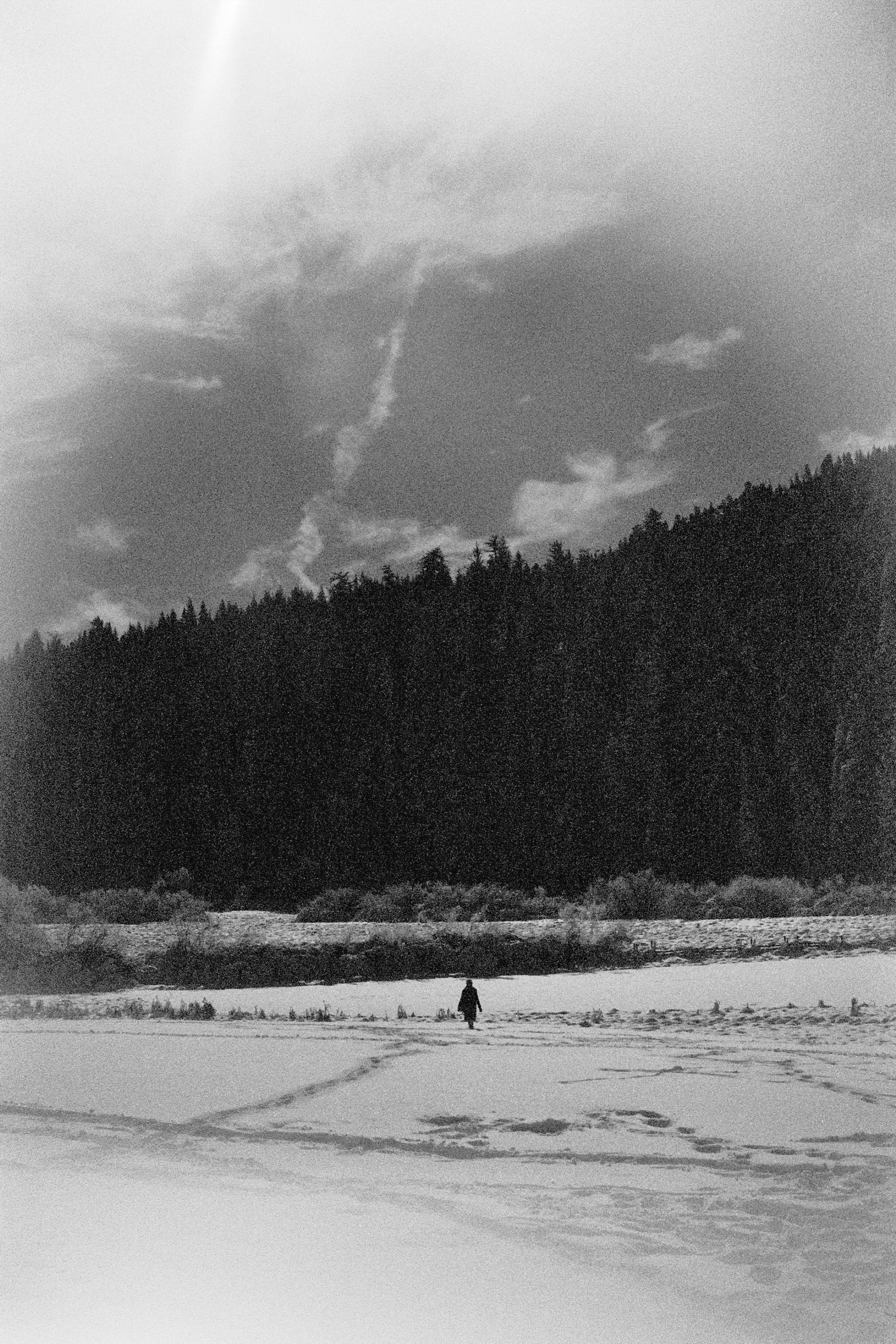 Pola3-56.jpg