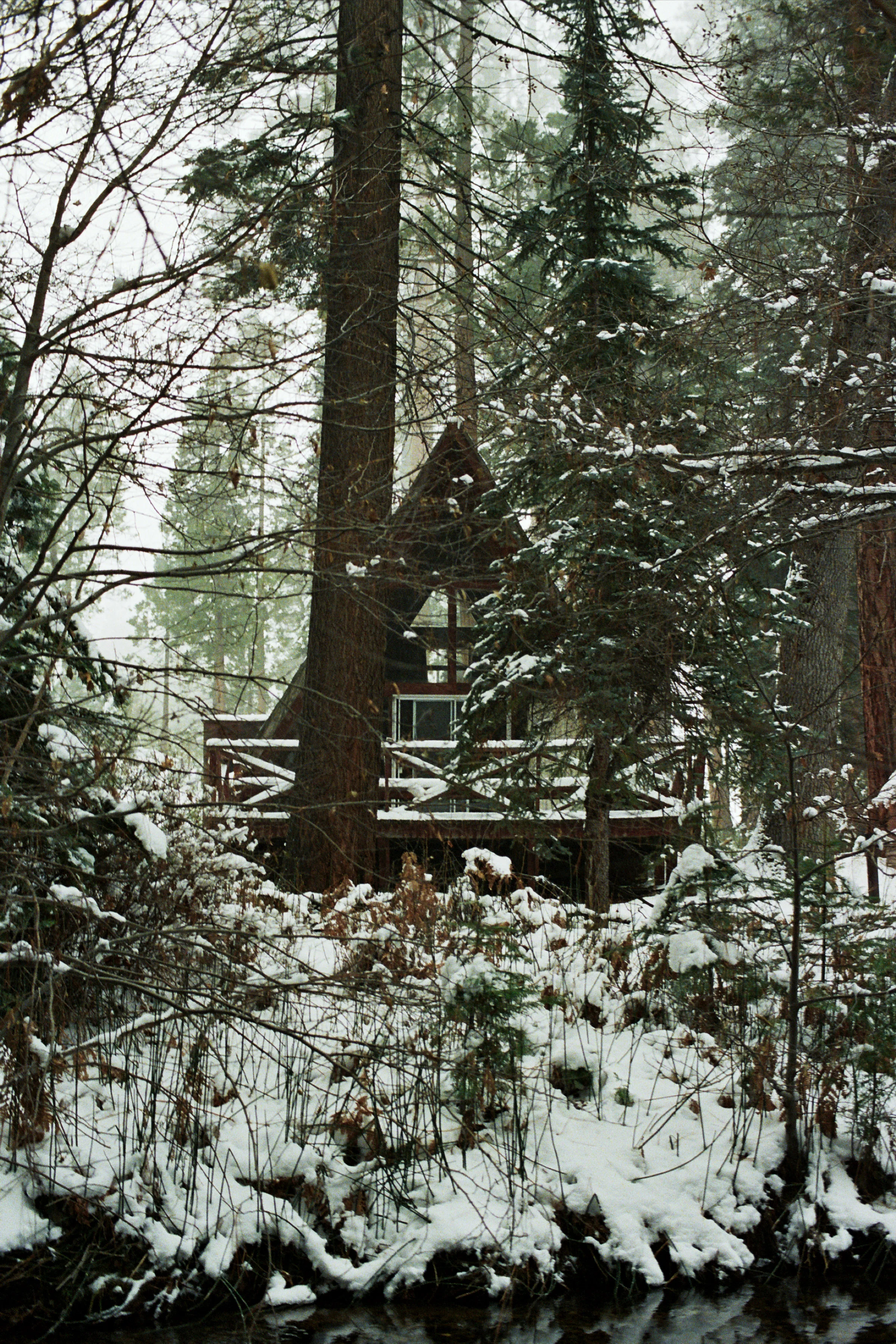 Pola3-39.jpg