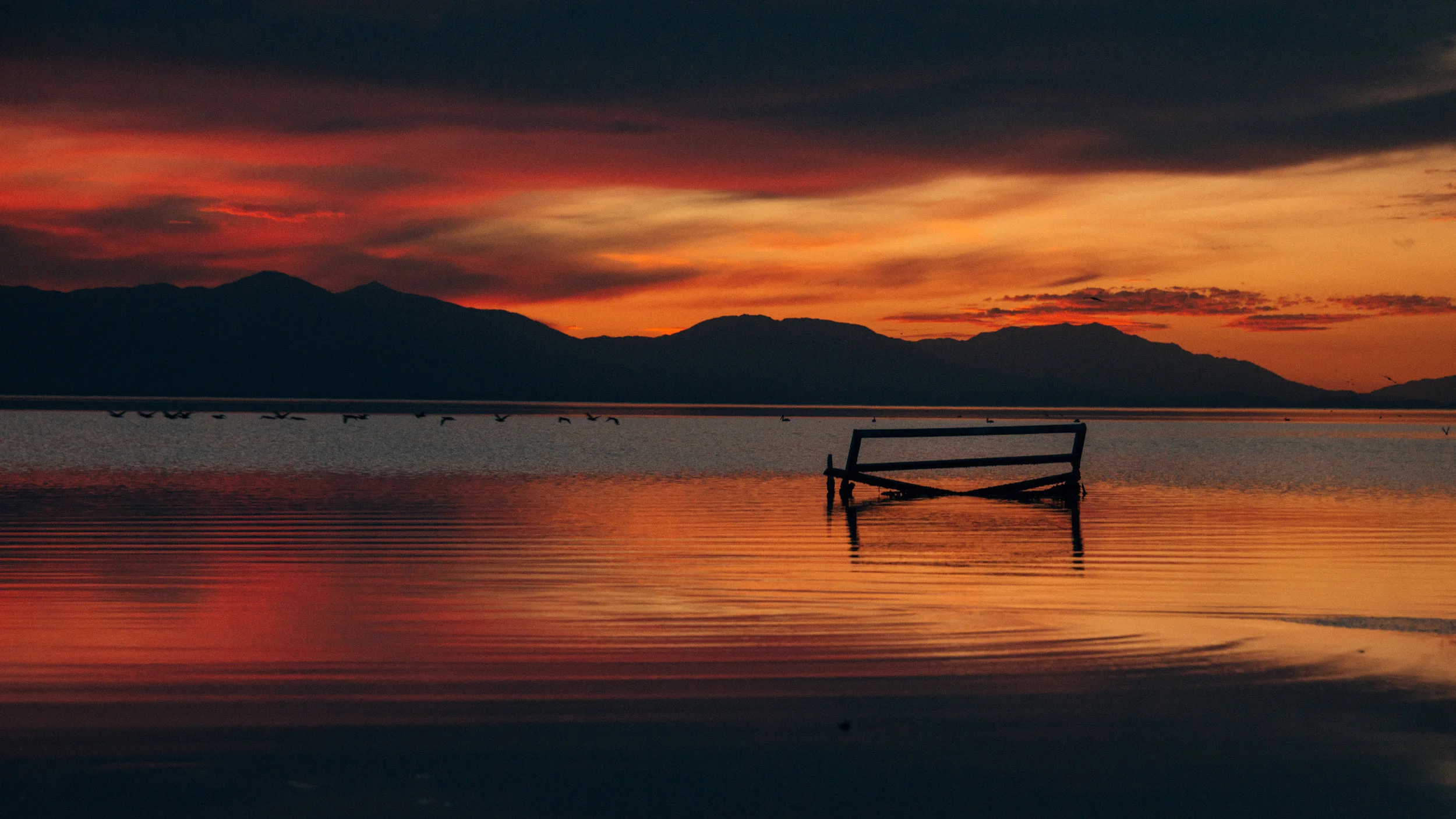 Salton07b (1 of 1).jpg