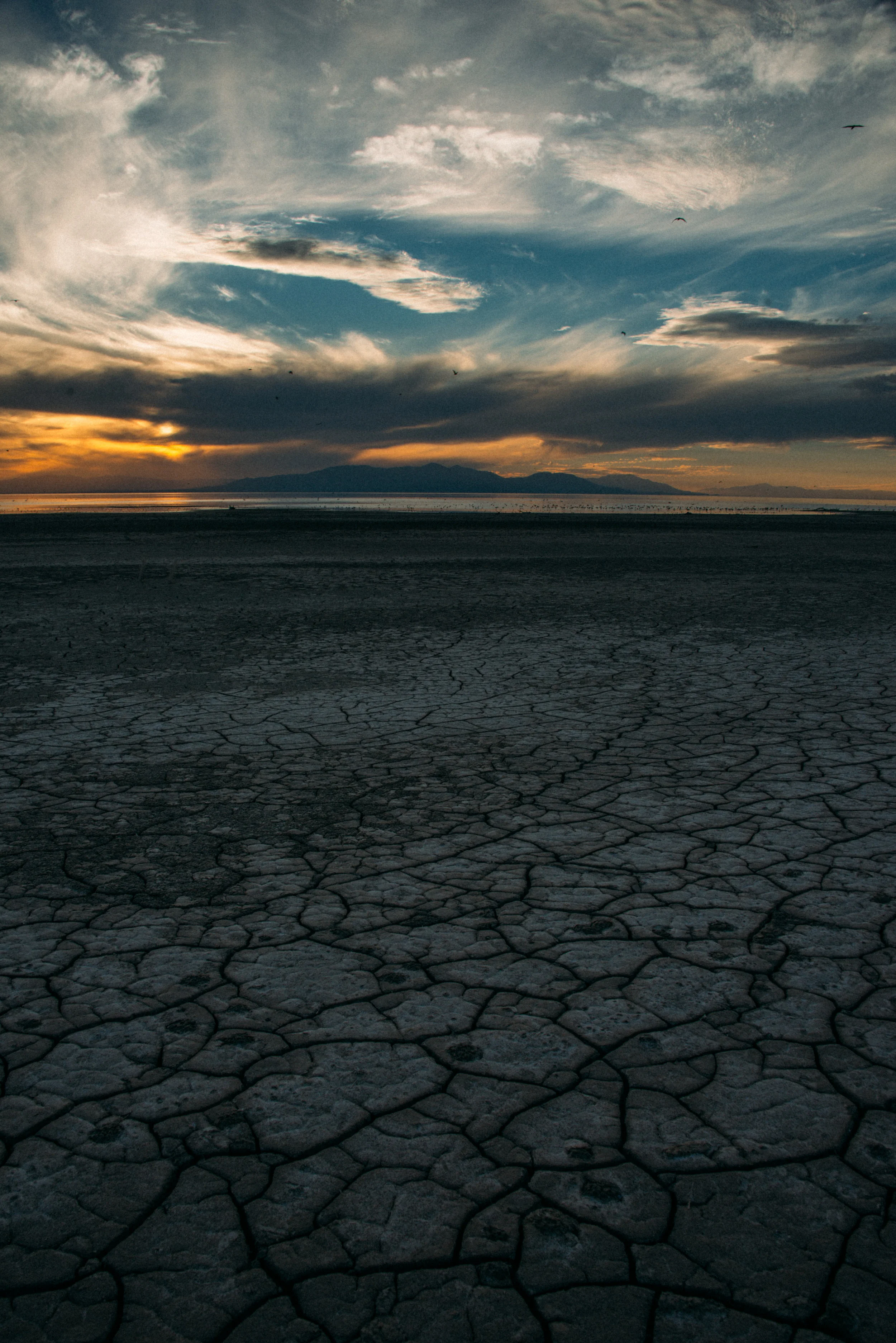 Salton24 (1 of 1).jpg