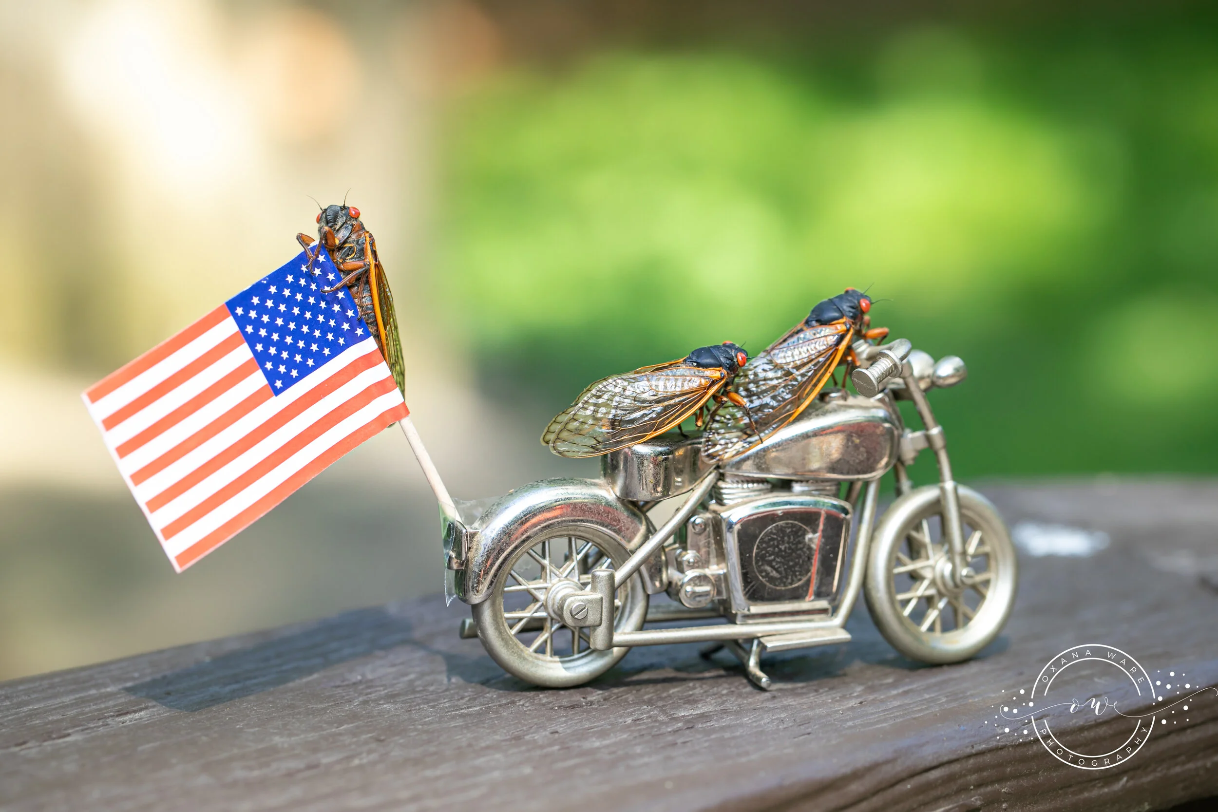0I6A2900.jpg
