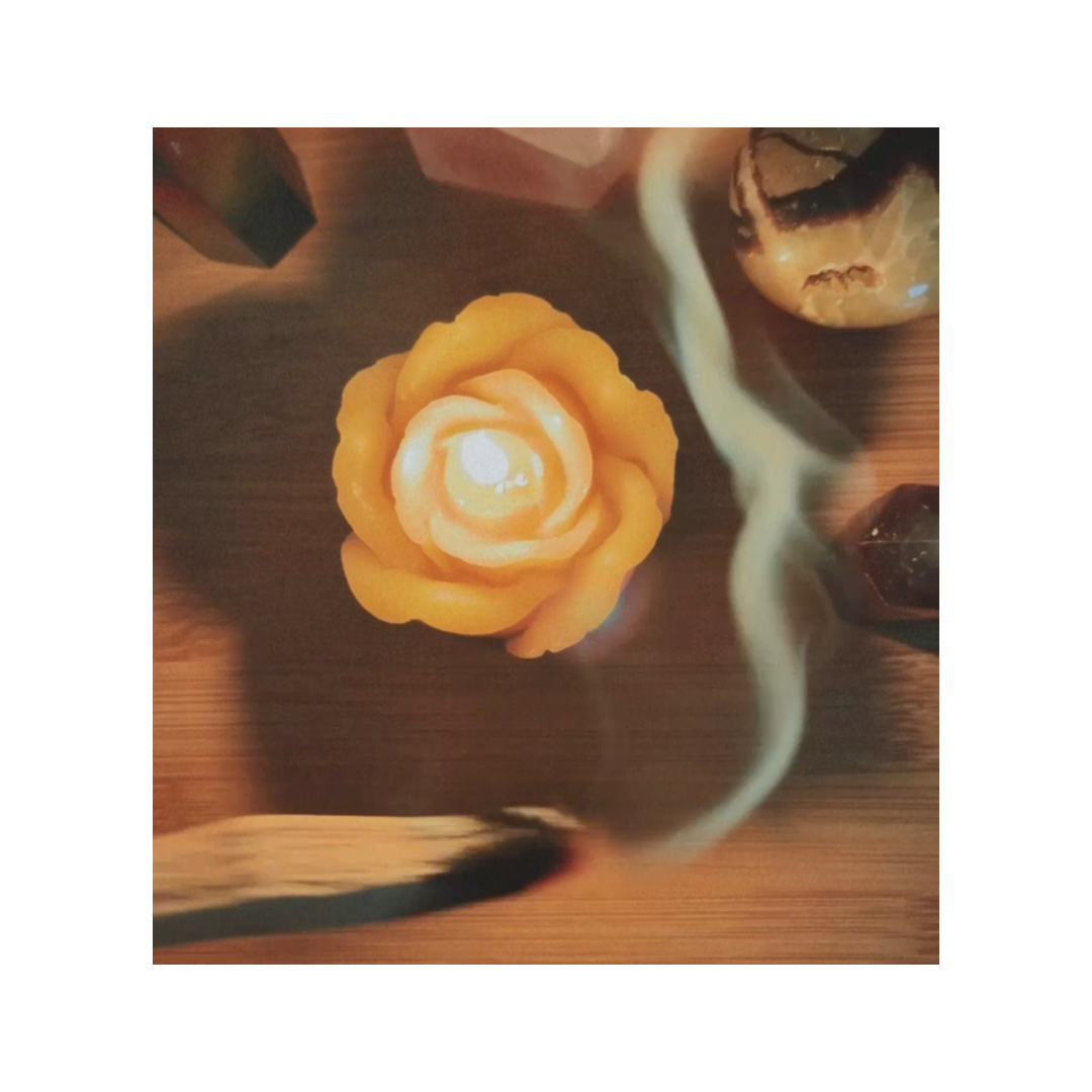 06F3478F-F34B-41EF-9BE4-F941CCA9FF5C