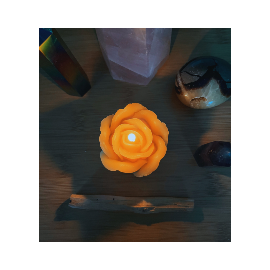 9BE48922-5C93-4FFA-A2F3-62622E7D17E7