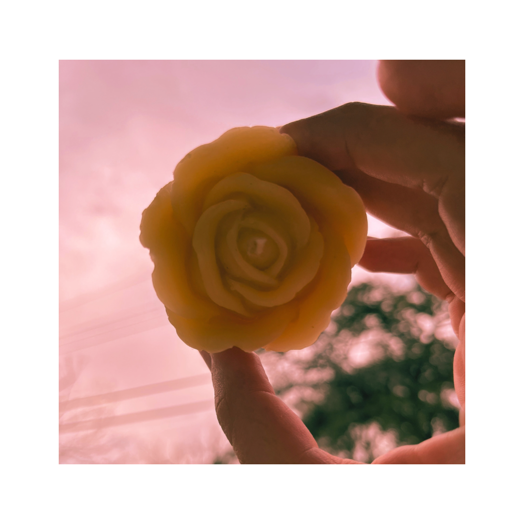 512A4C43-B607-4AF9-BD0B-178434E28F4D