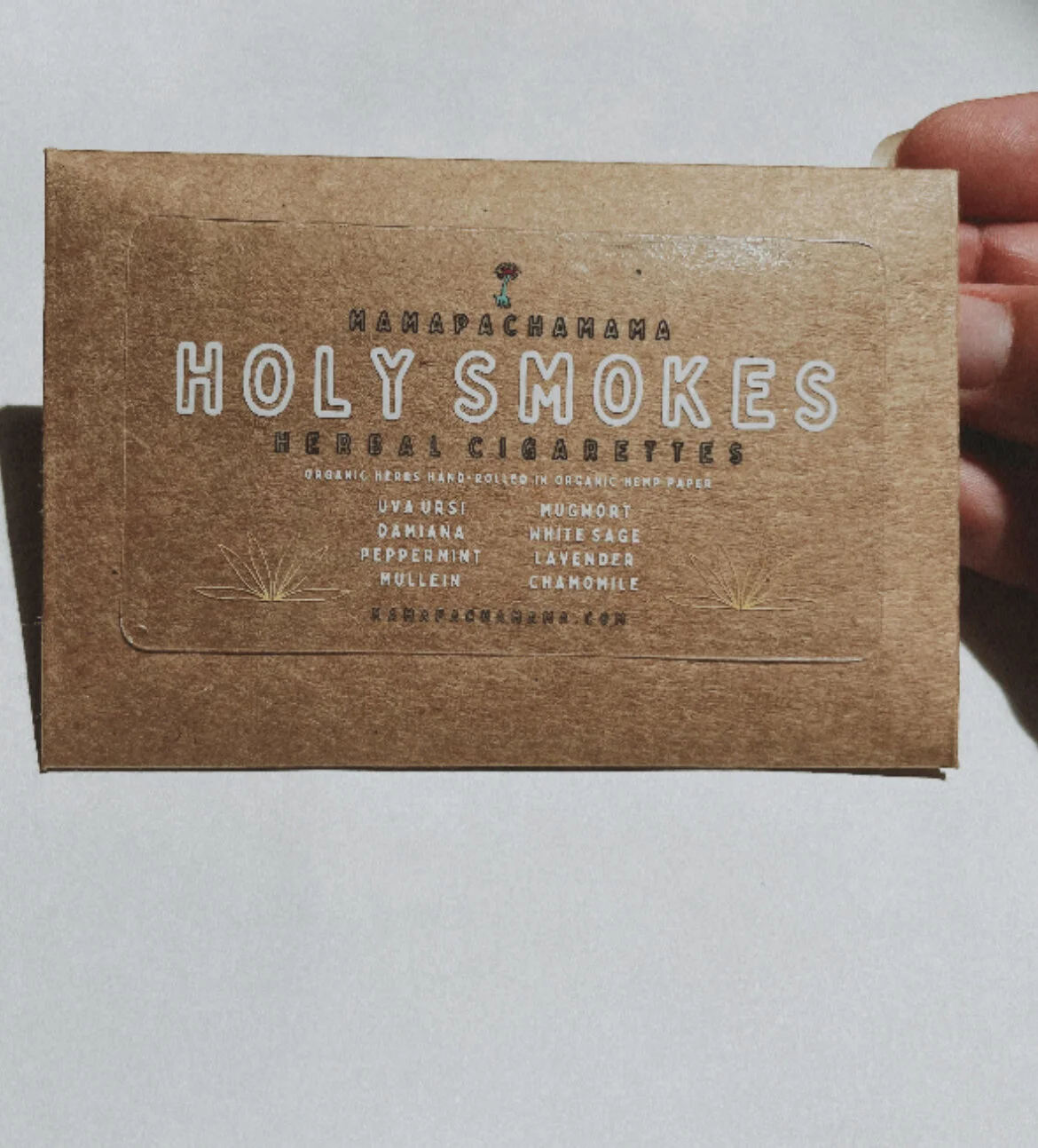 B34DD126-3BDF-4A77-A6EE-8D56F50066BE