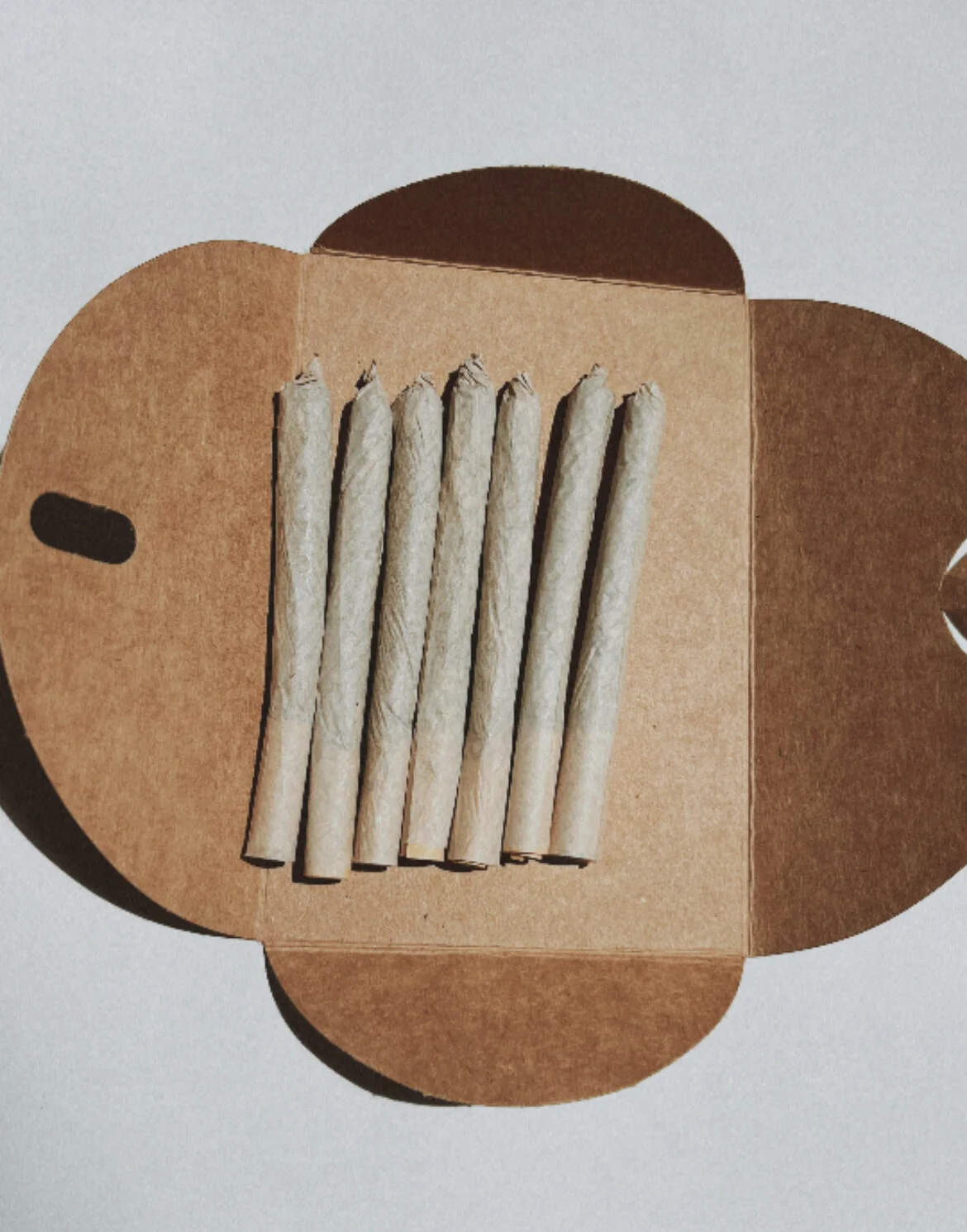 3A536EED-4C1F-4E44-8940-25EBC7CA8A1A