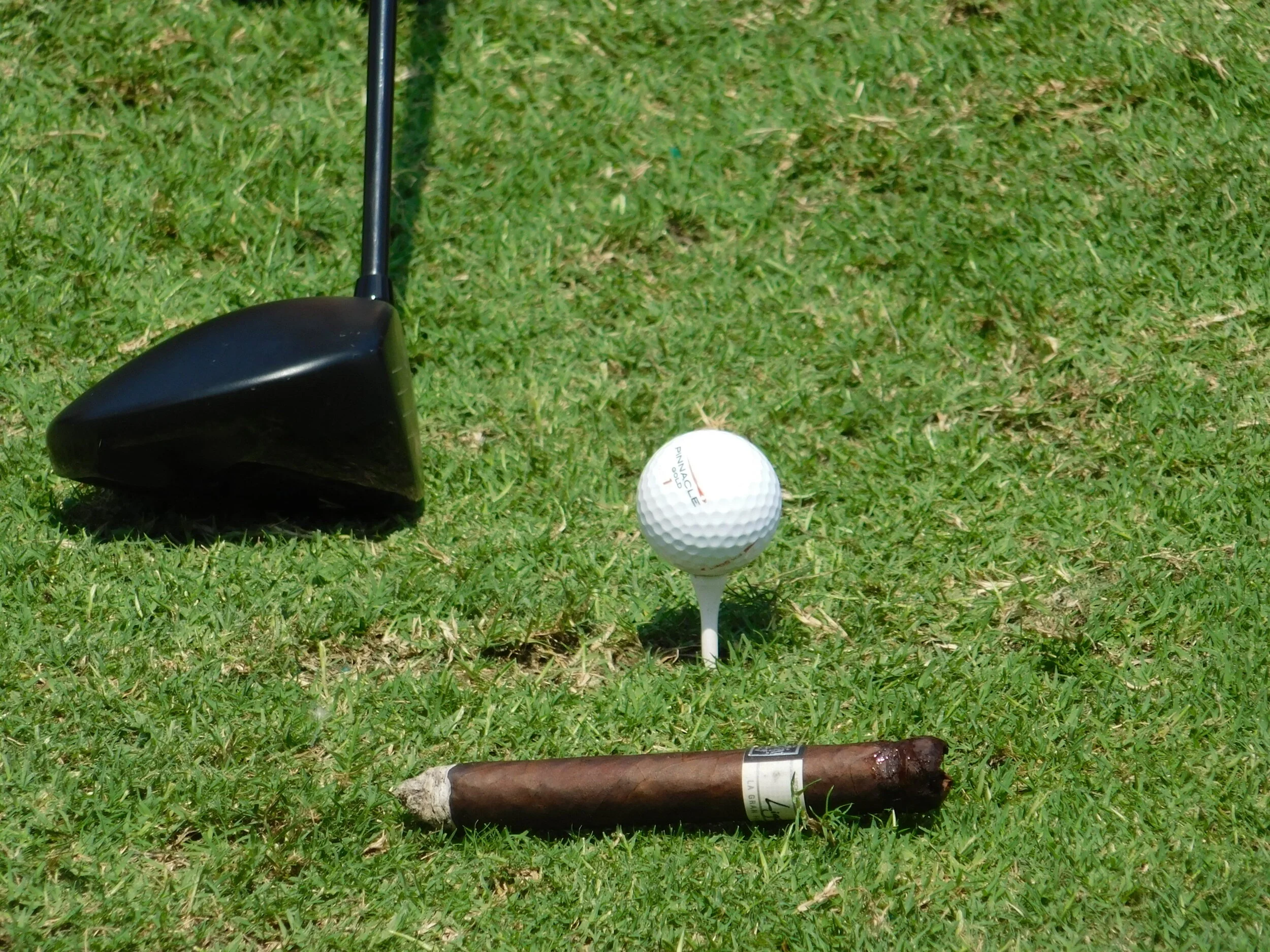 DSCN5509.JPG