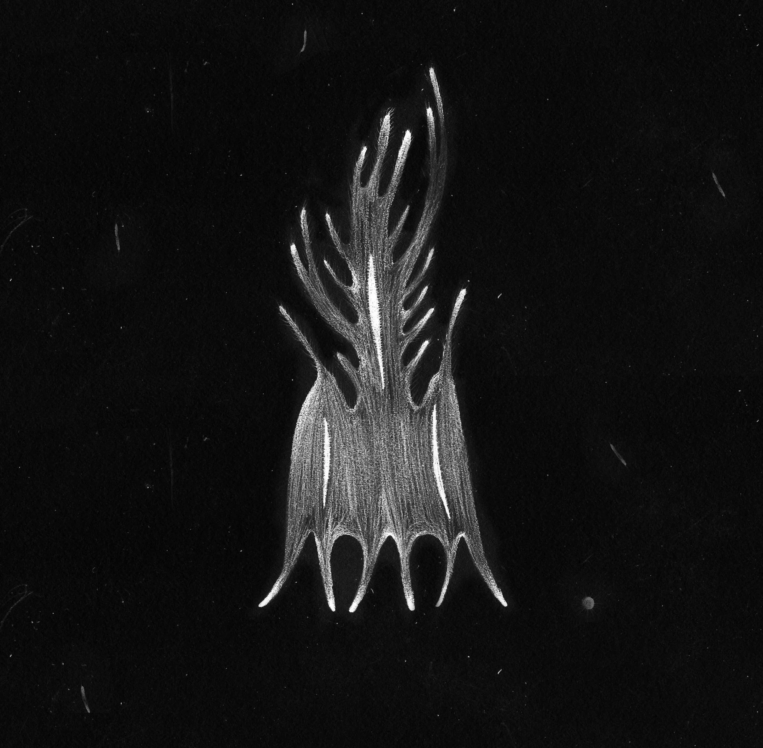 生物5.jpg