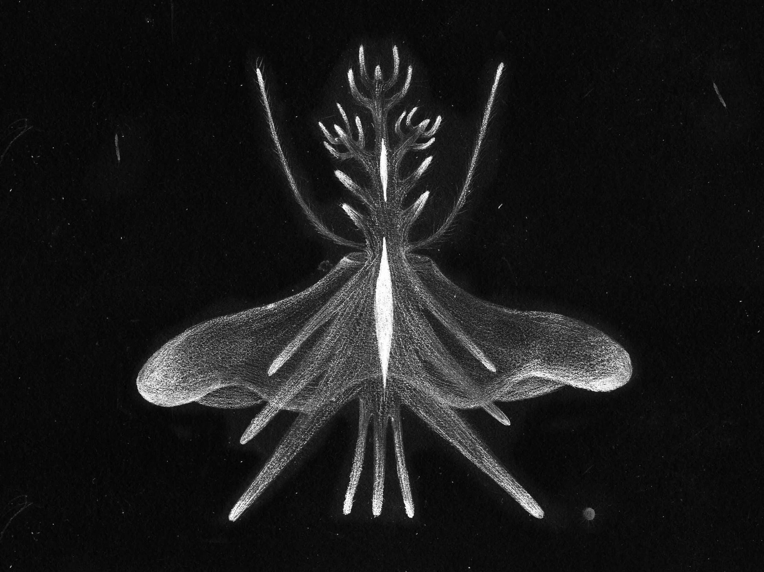 生物6.jpg