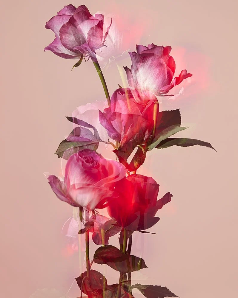 150207-cut05-0042 のコピー.jpg