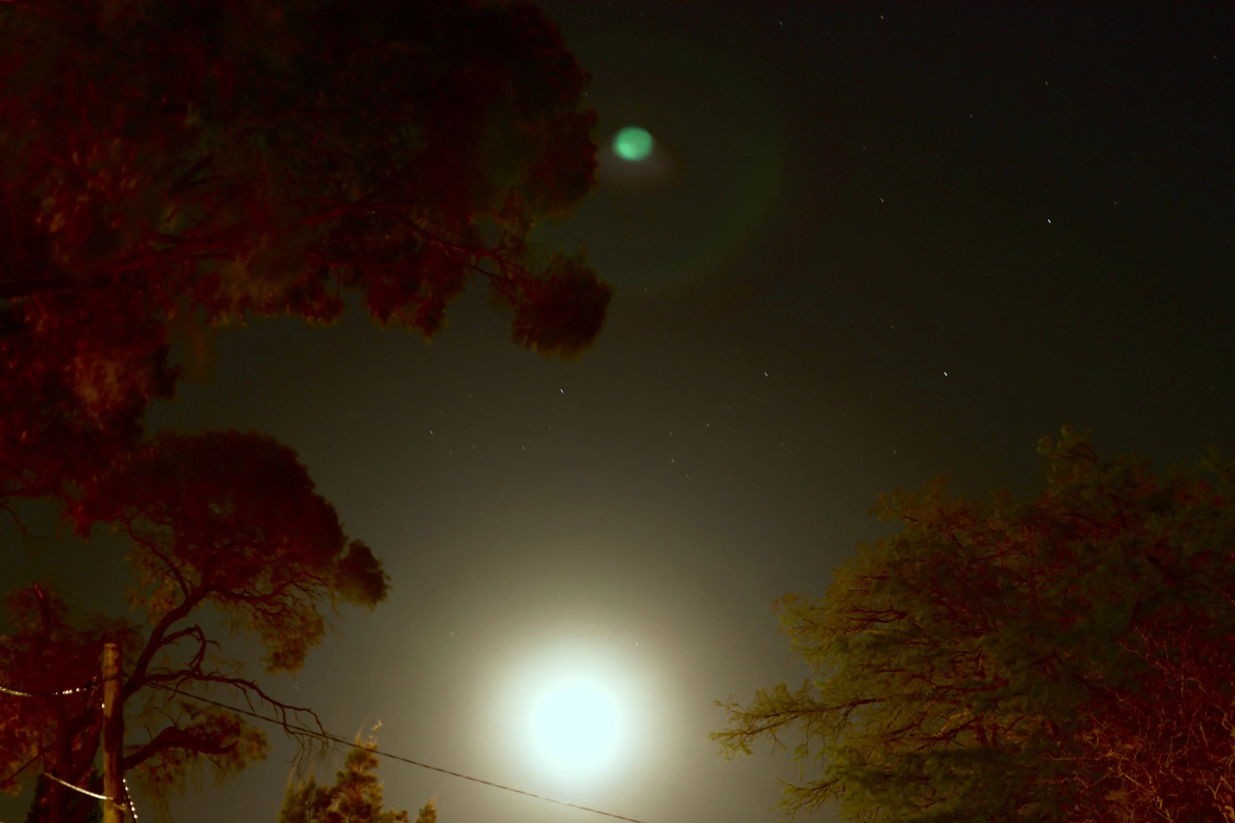 I'm still learning the ropes of night photography but I was pretty stoked on this one, although I must have bumped the camera a bit because there is the tiniest bit of speed blur on the trees. I actually like the result, I feel like it gives them more life than if they were perfectly in focus. I also like lens flare ☺︎