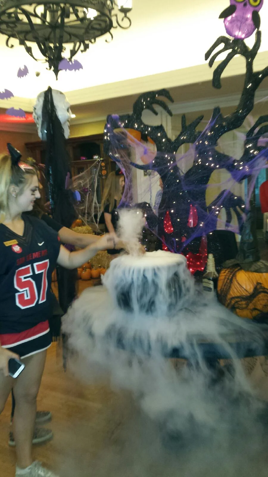 20151029_164710_22582722102_o.jpg