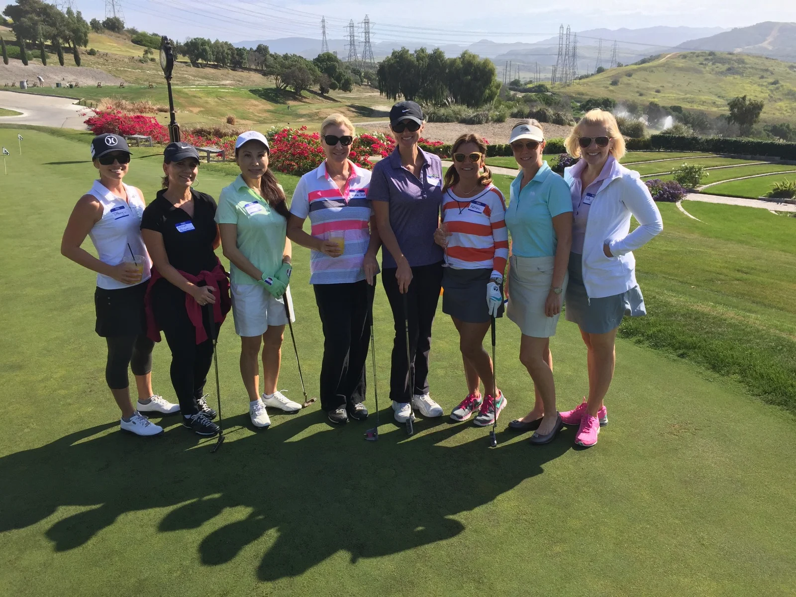BCWGA Ladies Senior Cup Championship