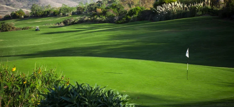 2017 Ladies Club Championship