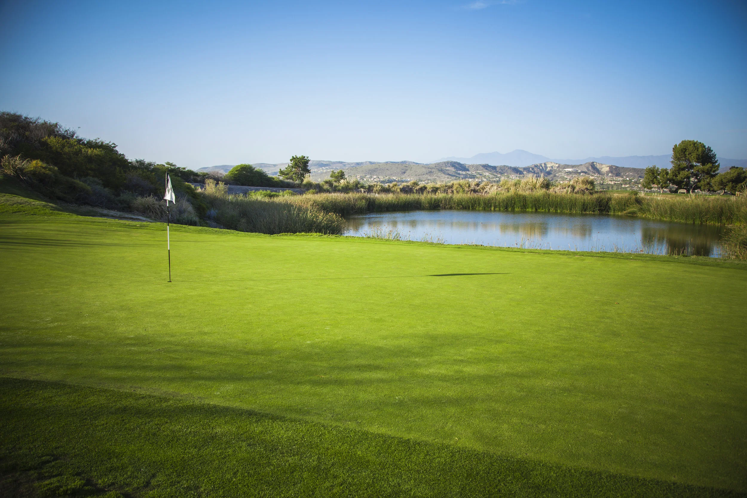 Ladies Club Championship