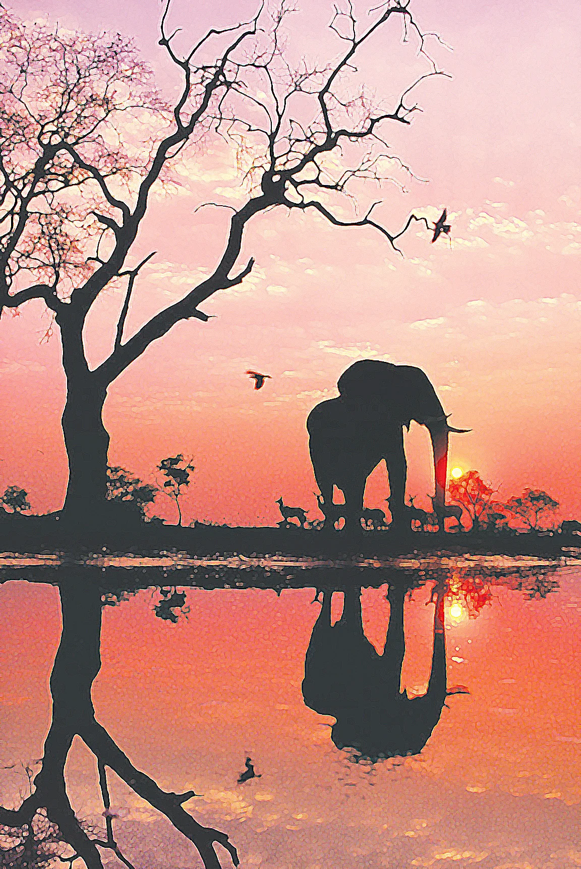 Painting & Vino: Elephant in Reflection
