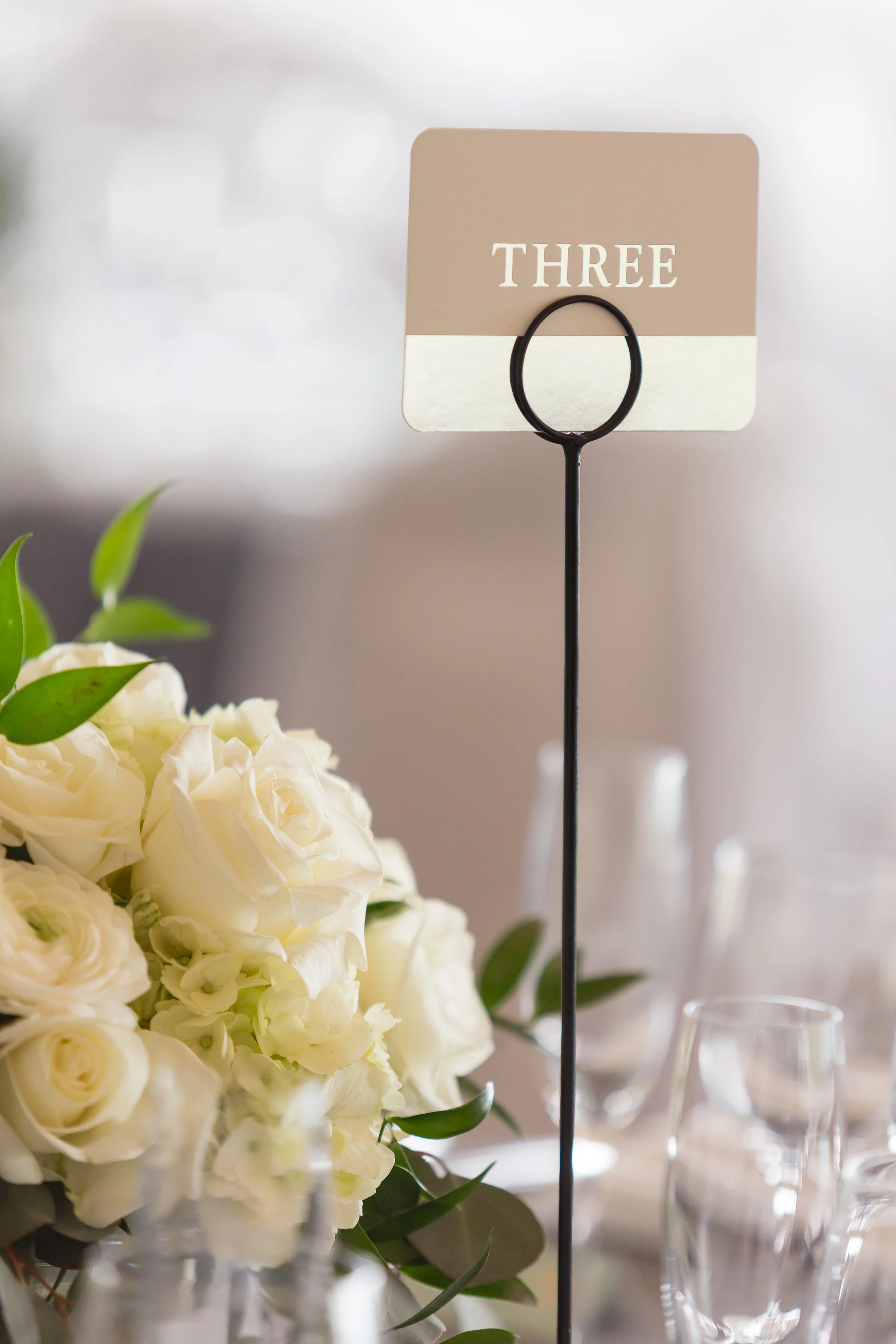 BellaCollinaSanClementeWedding-Chelsea&Ryan(374of751).jpg