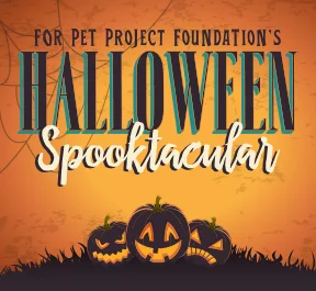 Pet Project Foundation: Tail of Two Cities Gala
