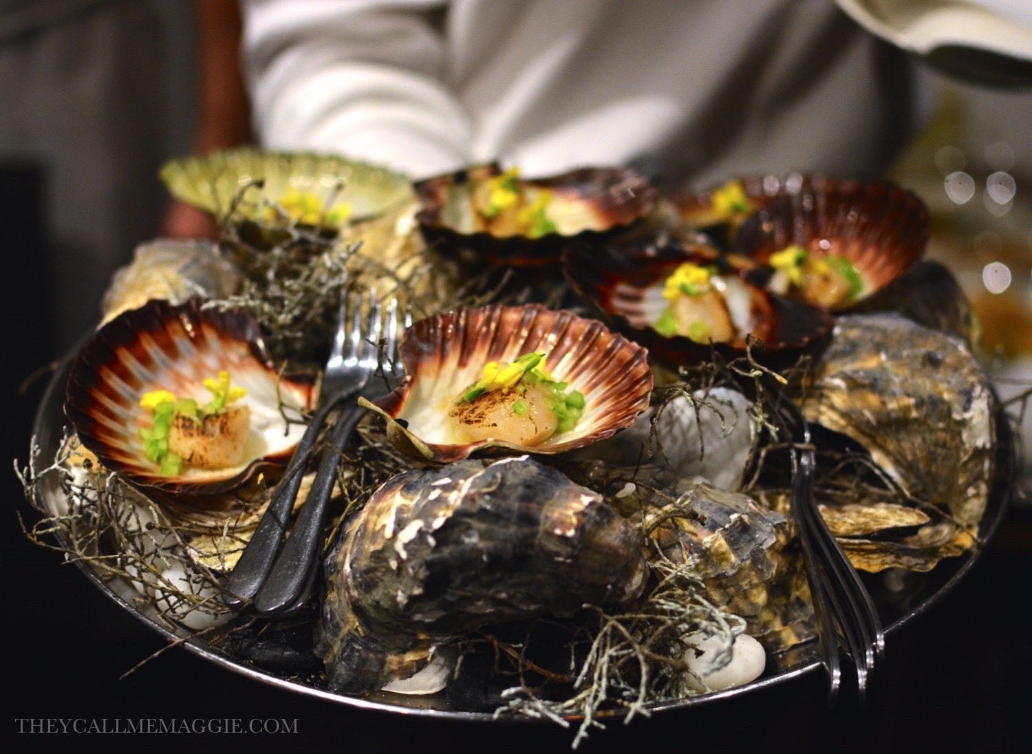 Tasmanian scallops with compressed cucumber and apple juice