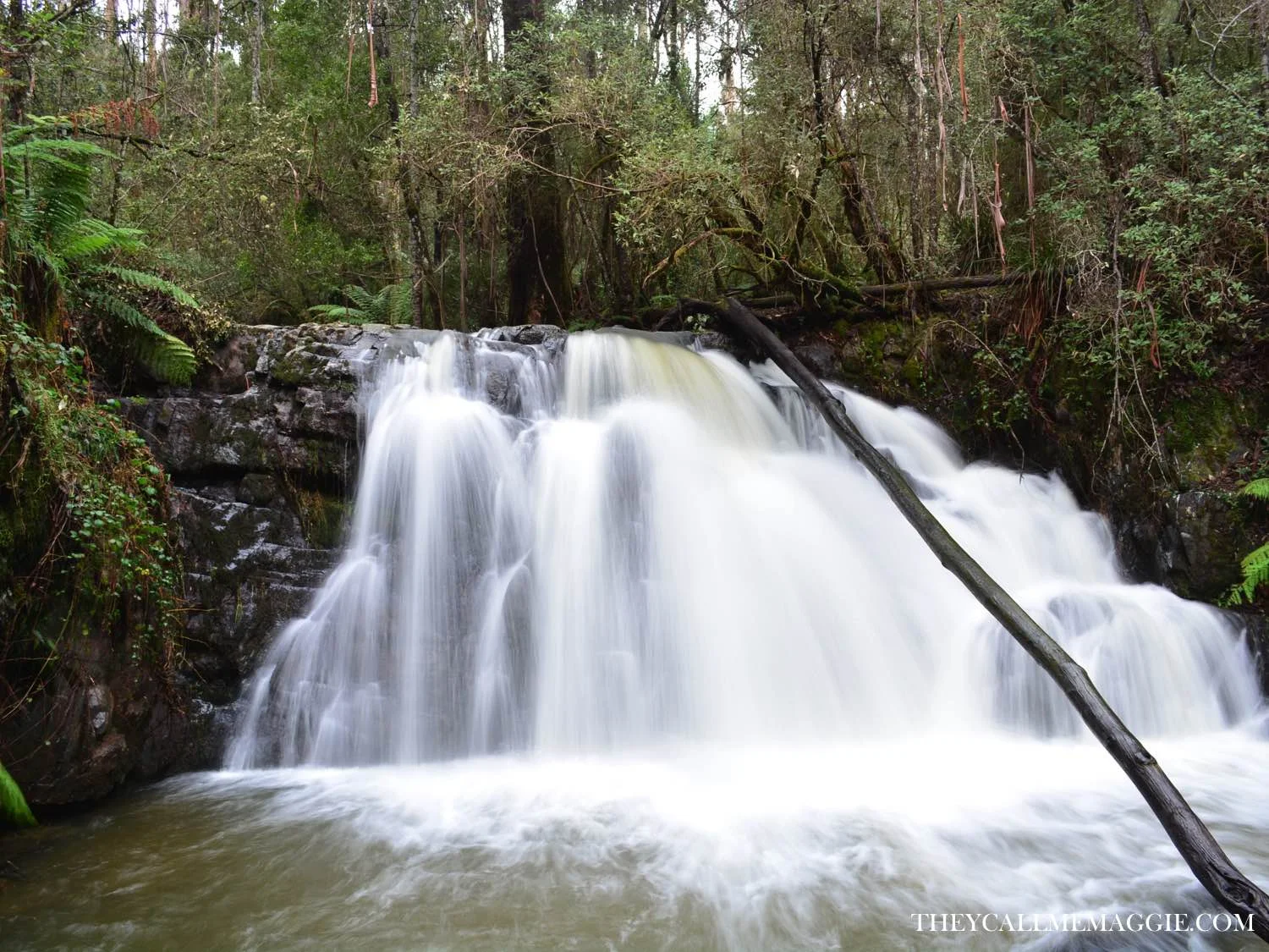 Lilydale Falls.
