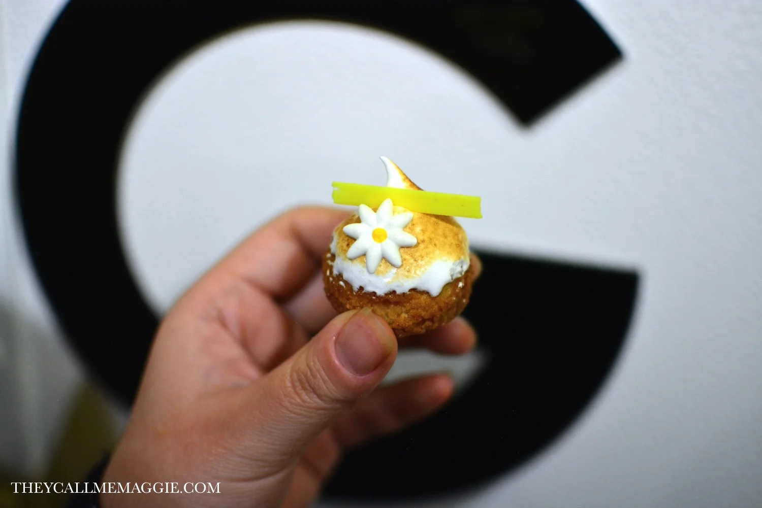 choux-daisy.jpg