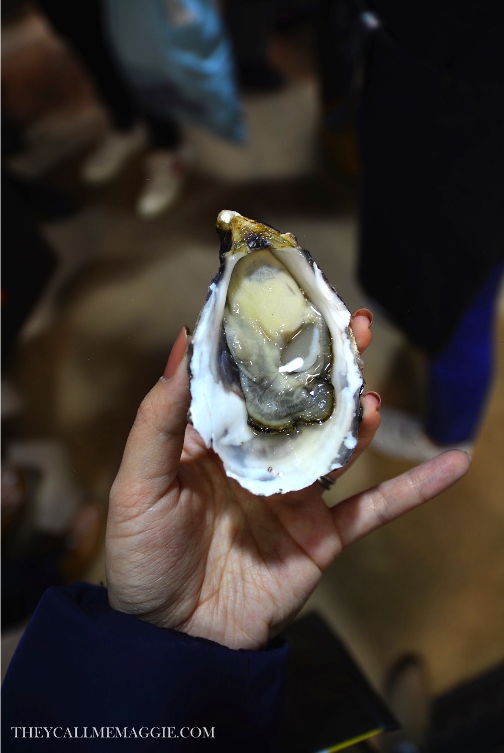 fresh-oyster.jpg
