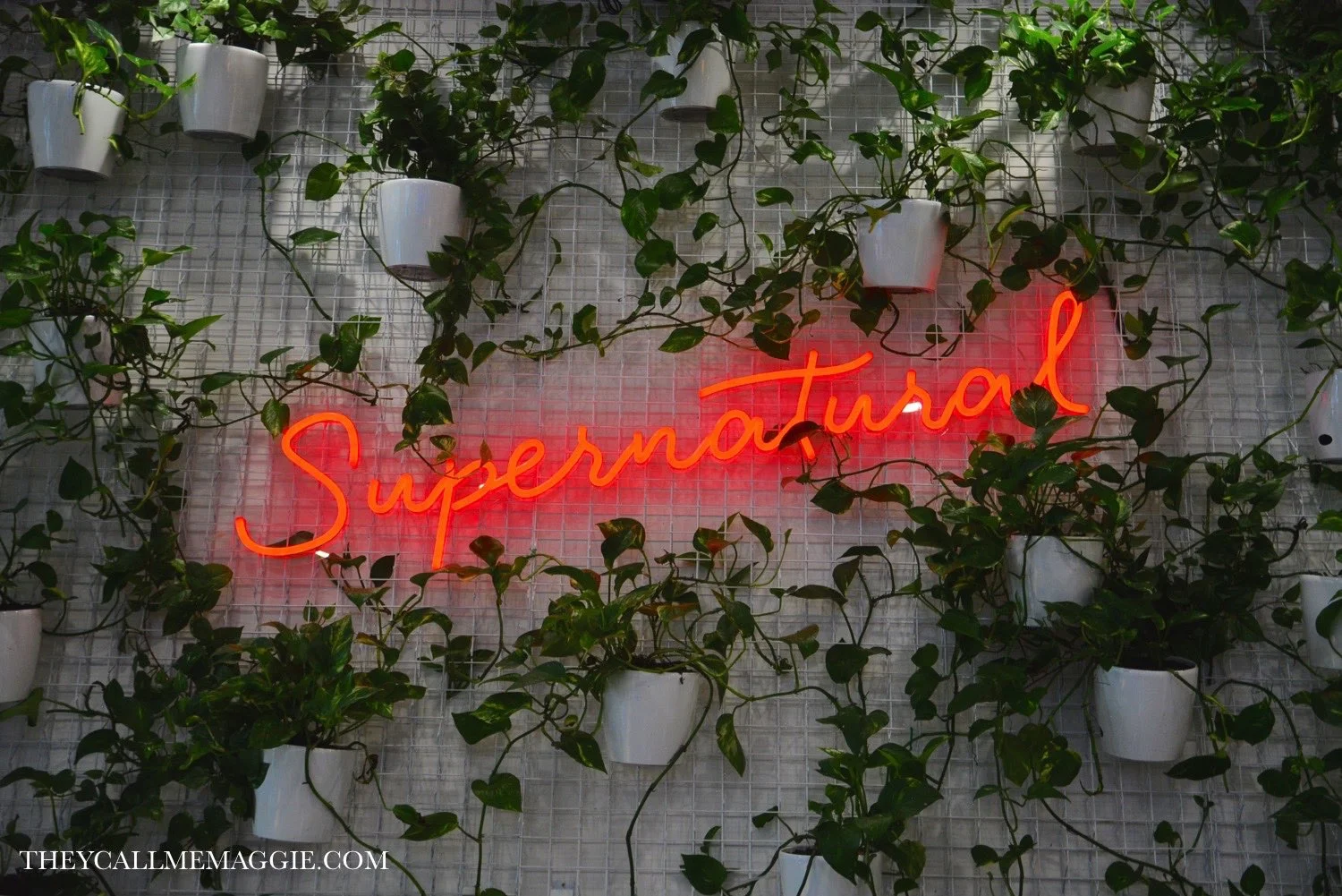 bens-supernatural-signage.jpg