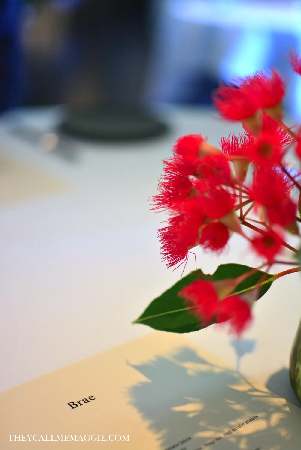 brae-native-blooms.jpg