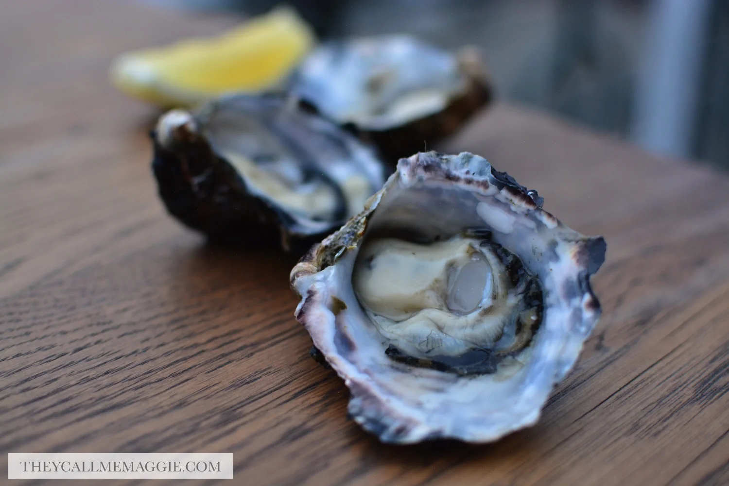 pure-south-oysters.jpg