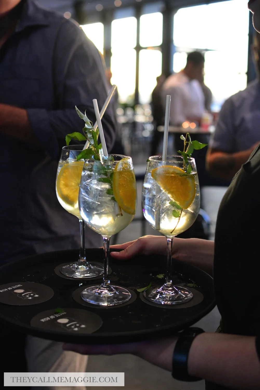 gin-cocktails.jpg