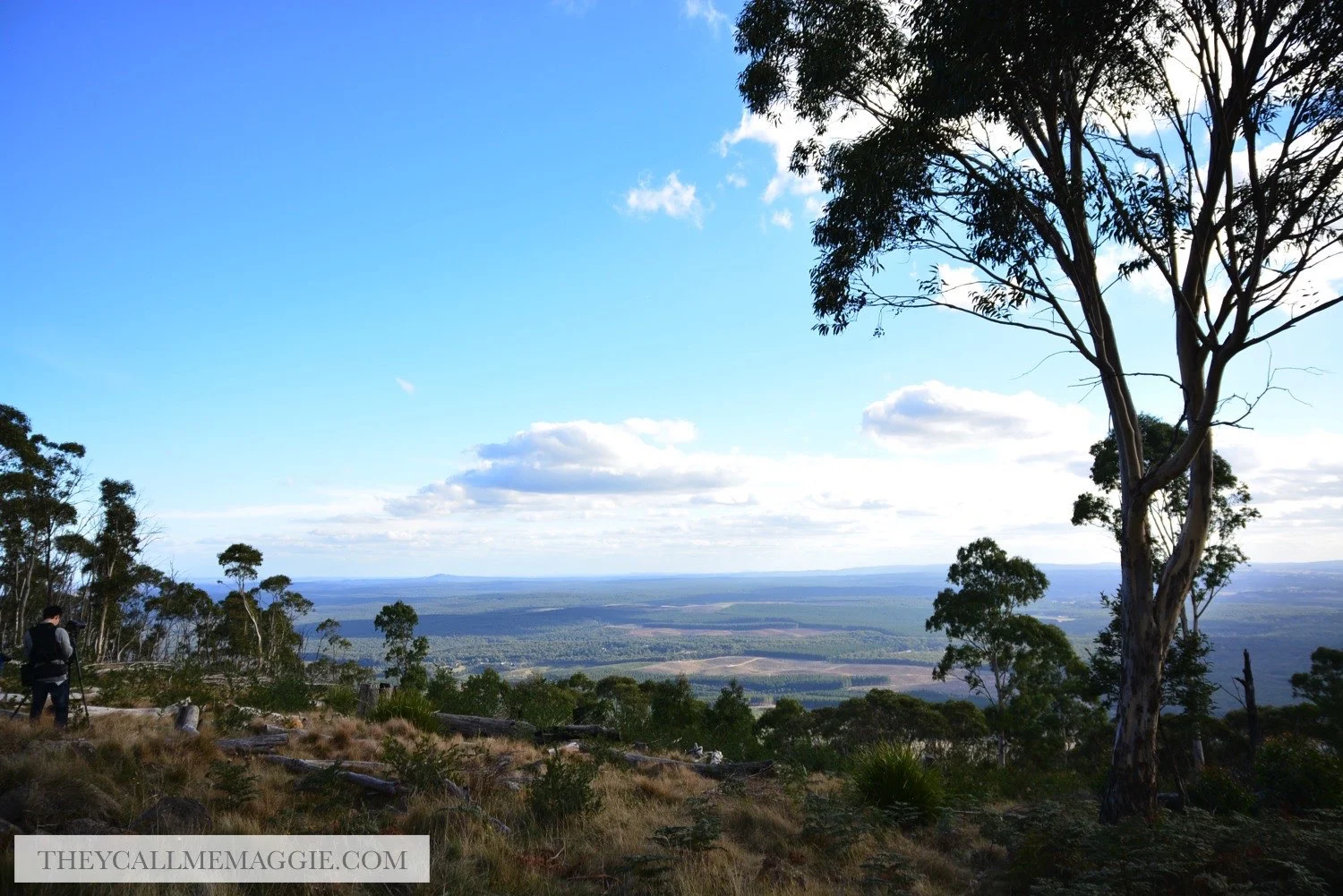 mount-macedon-view.jpg