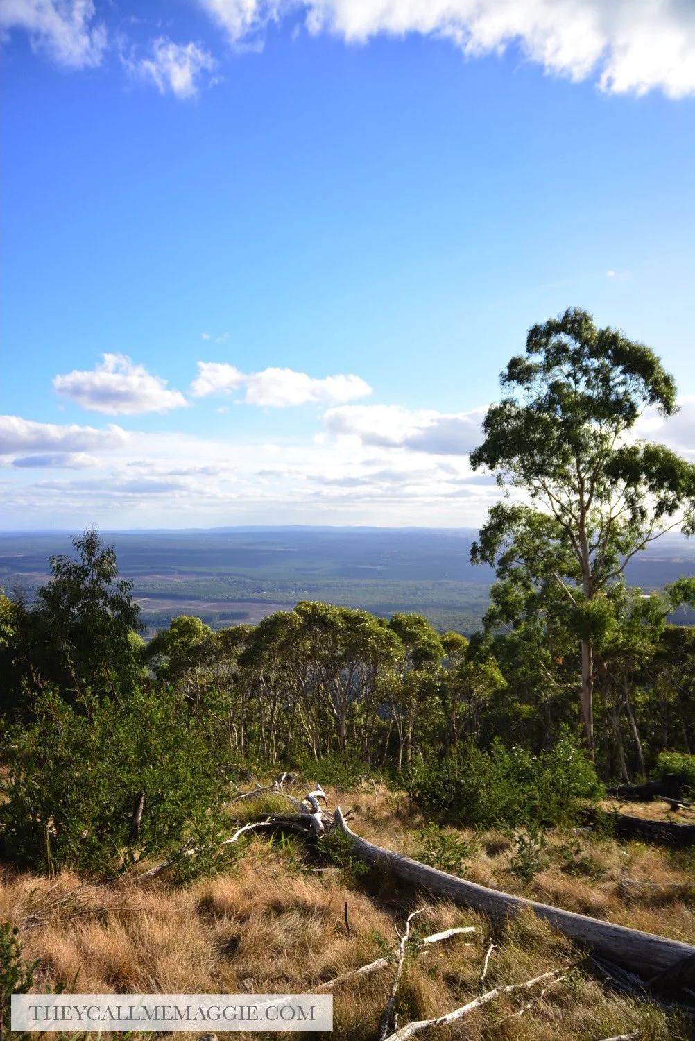 mountain-view.jpg