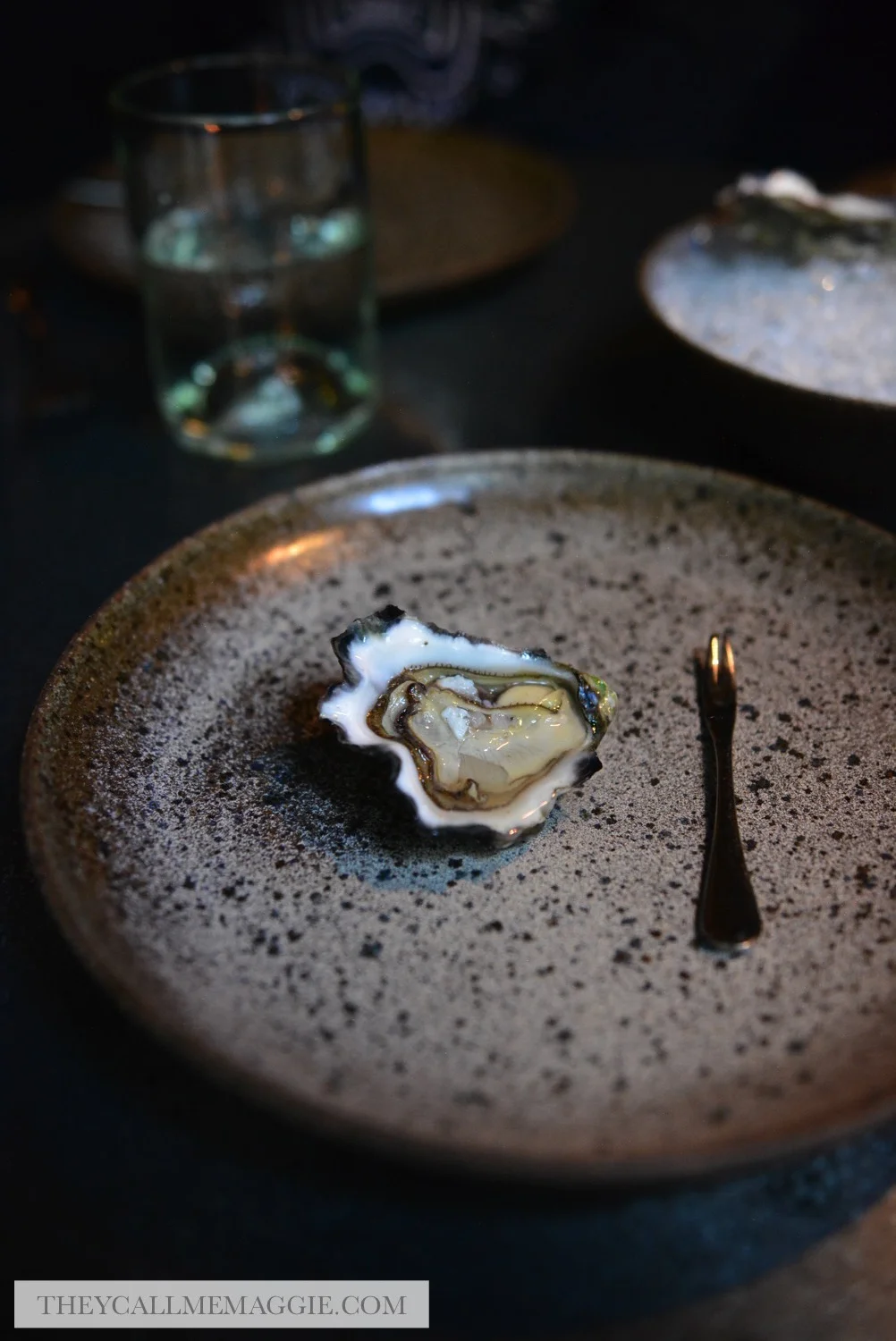 fresh-oyster.jpg