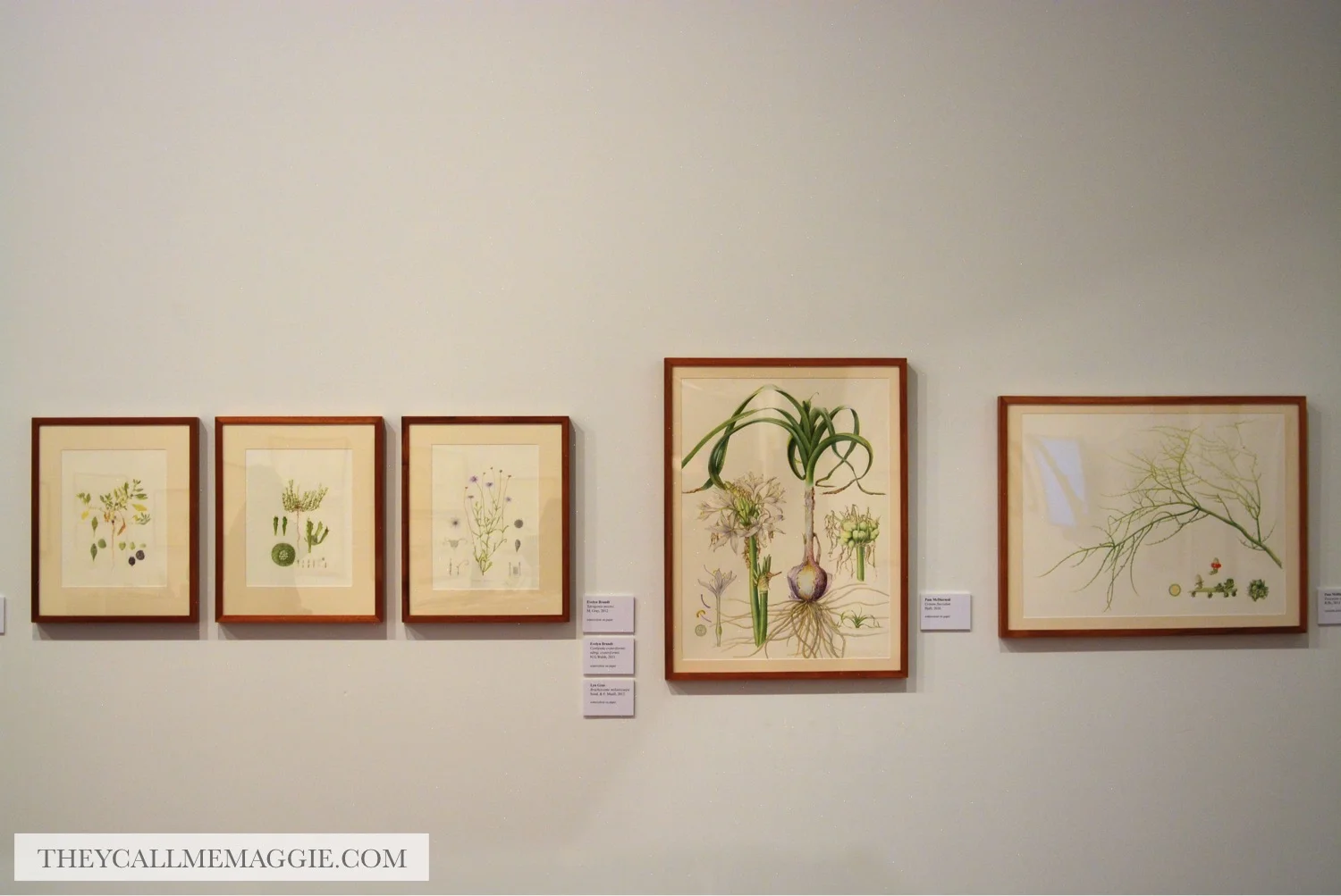 ballarat-art-gallery.jpg