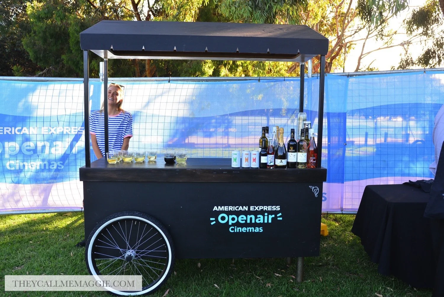 alcohol-cart.jpg